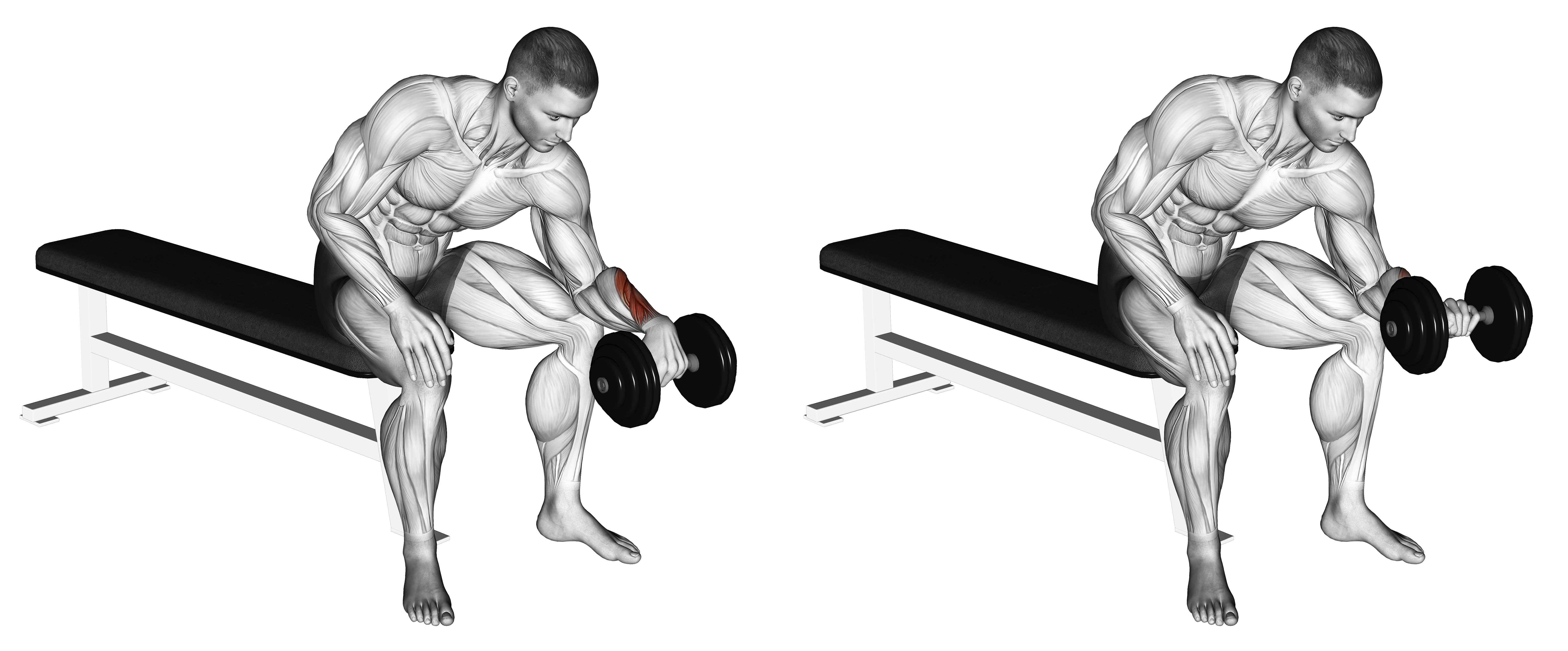 Dumbbell One Arm Revers Wrist Curl