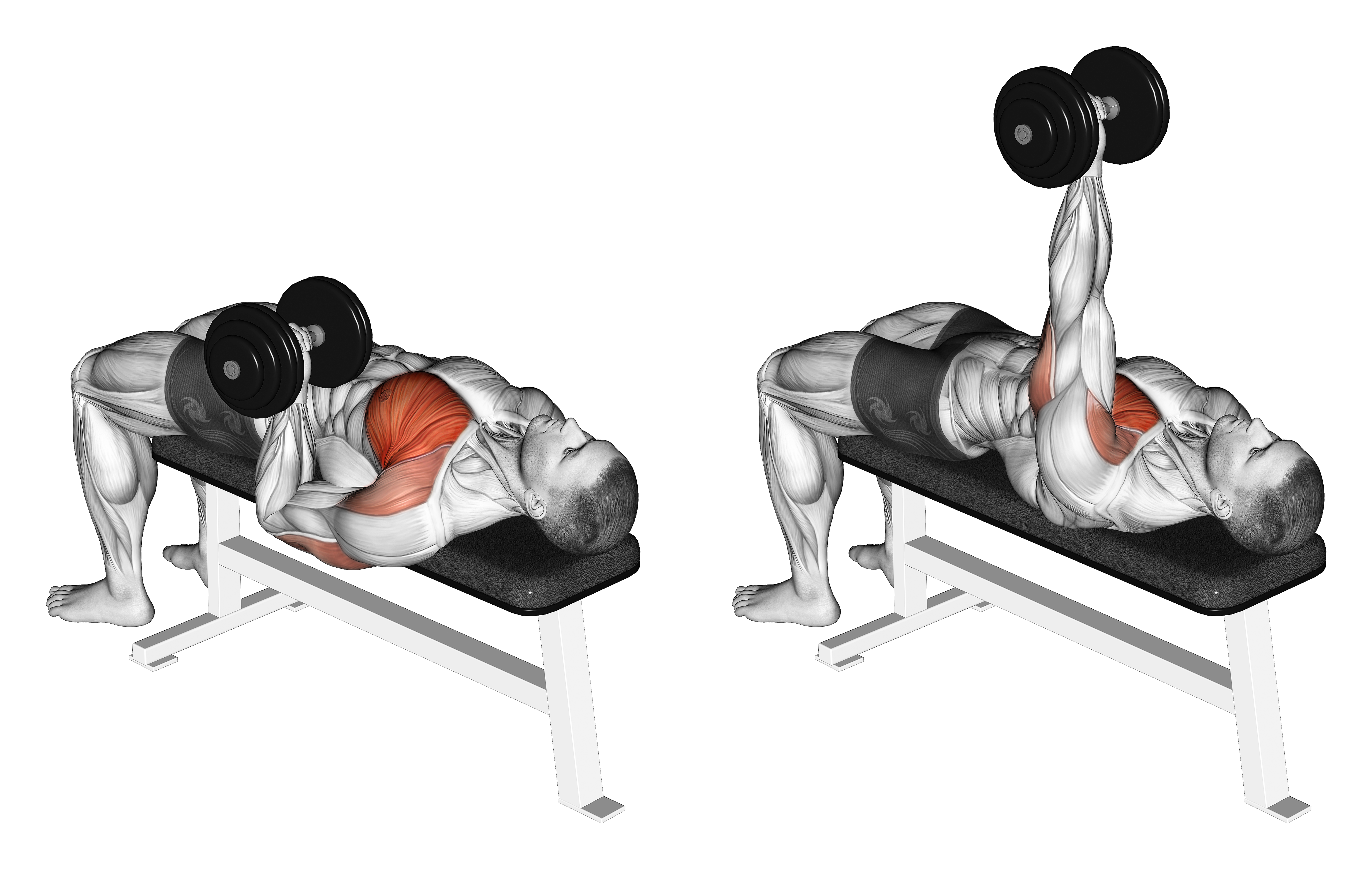 Dumbbell One Arm Reverse Grip Press
