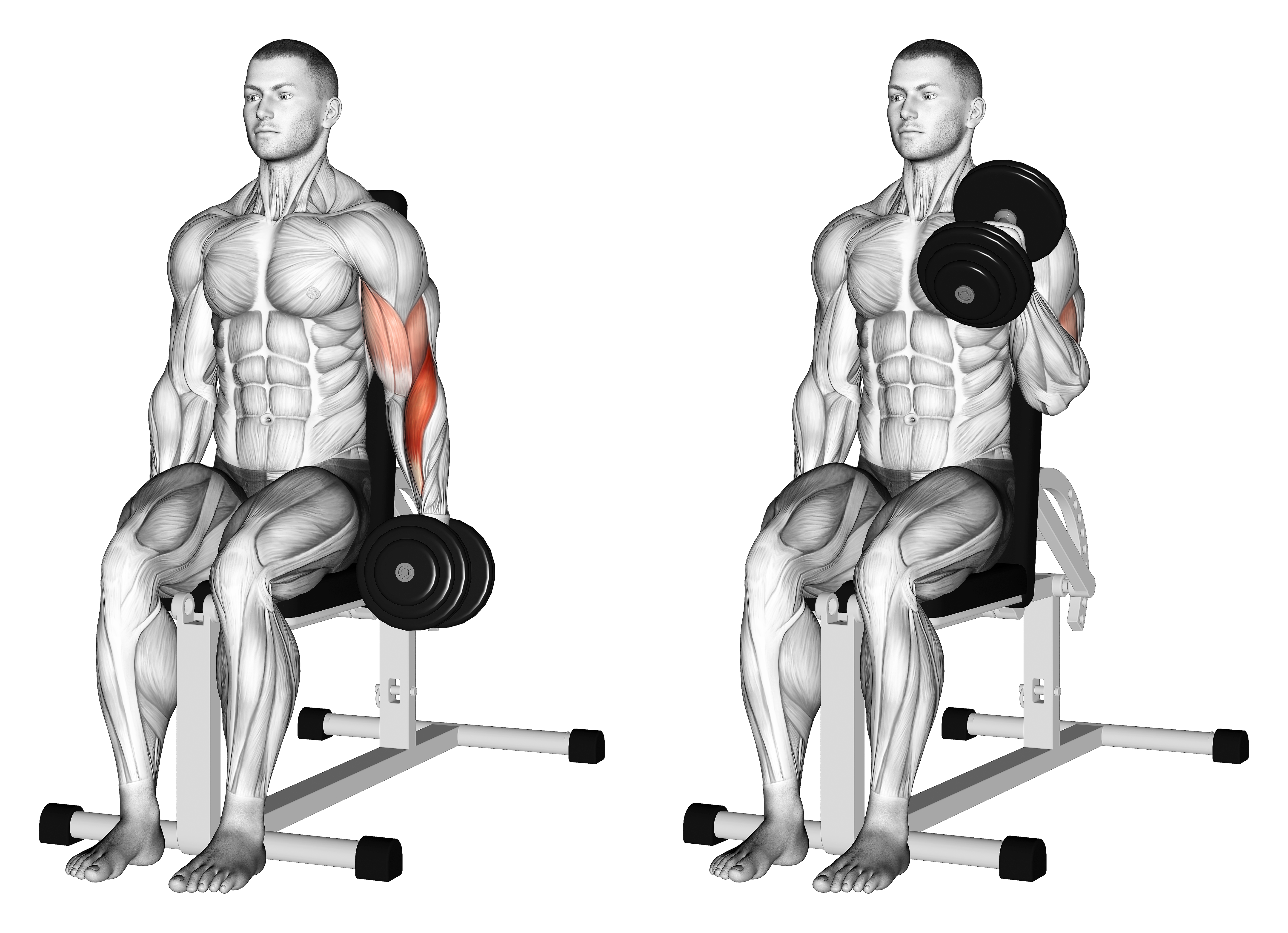 Dumbbell One Arm Seated Hammer Curl