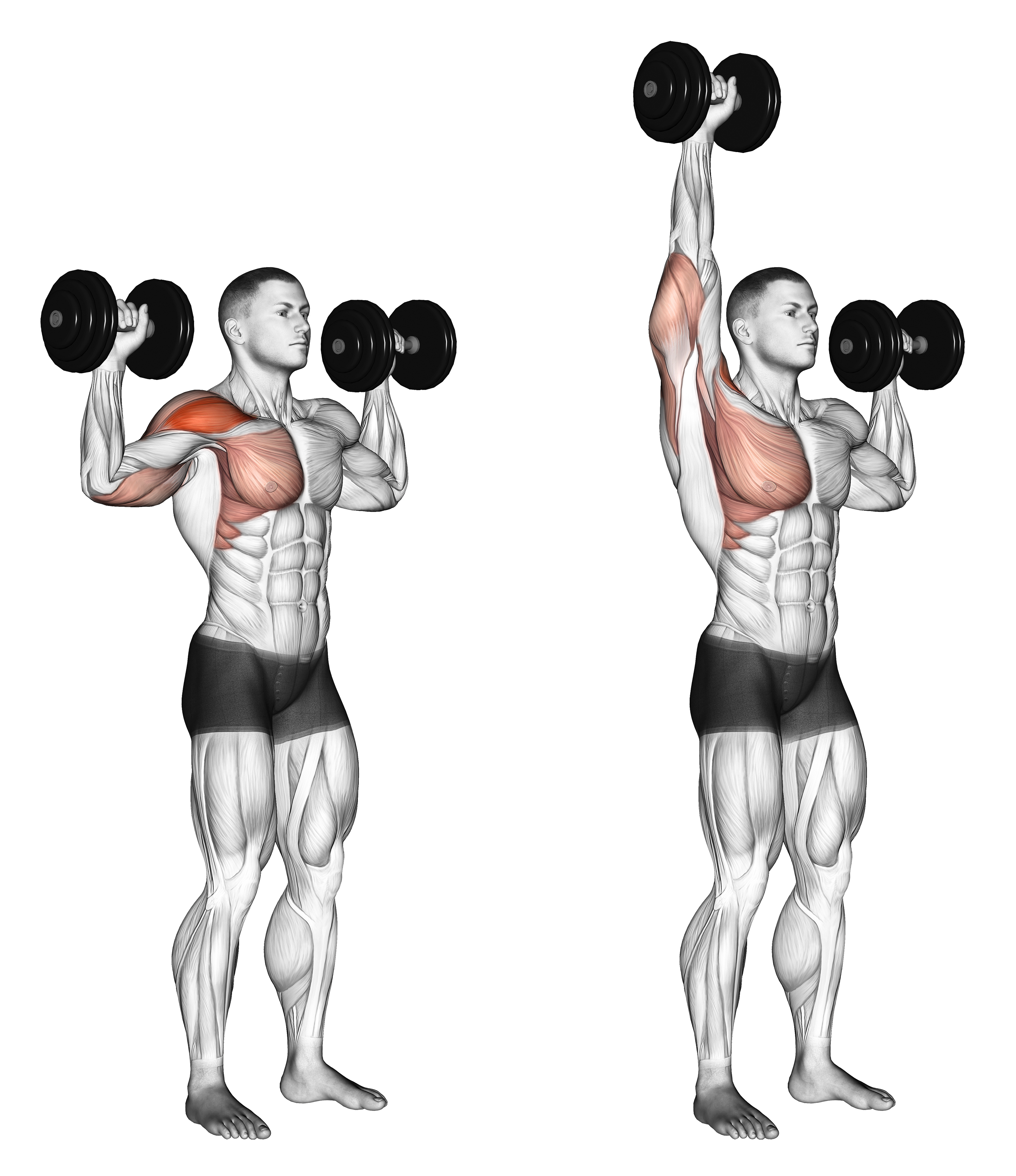 Dumbbell One Arm Shoulder Press