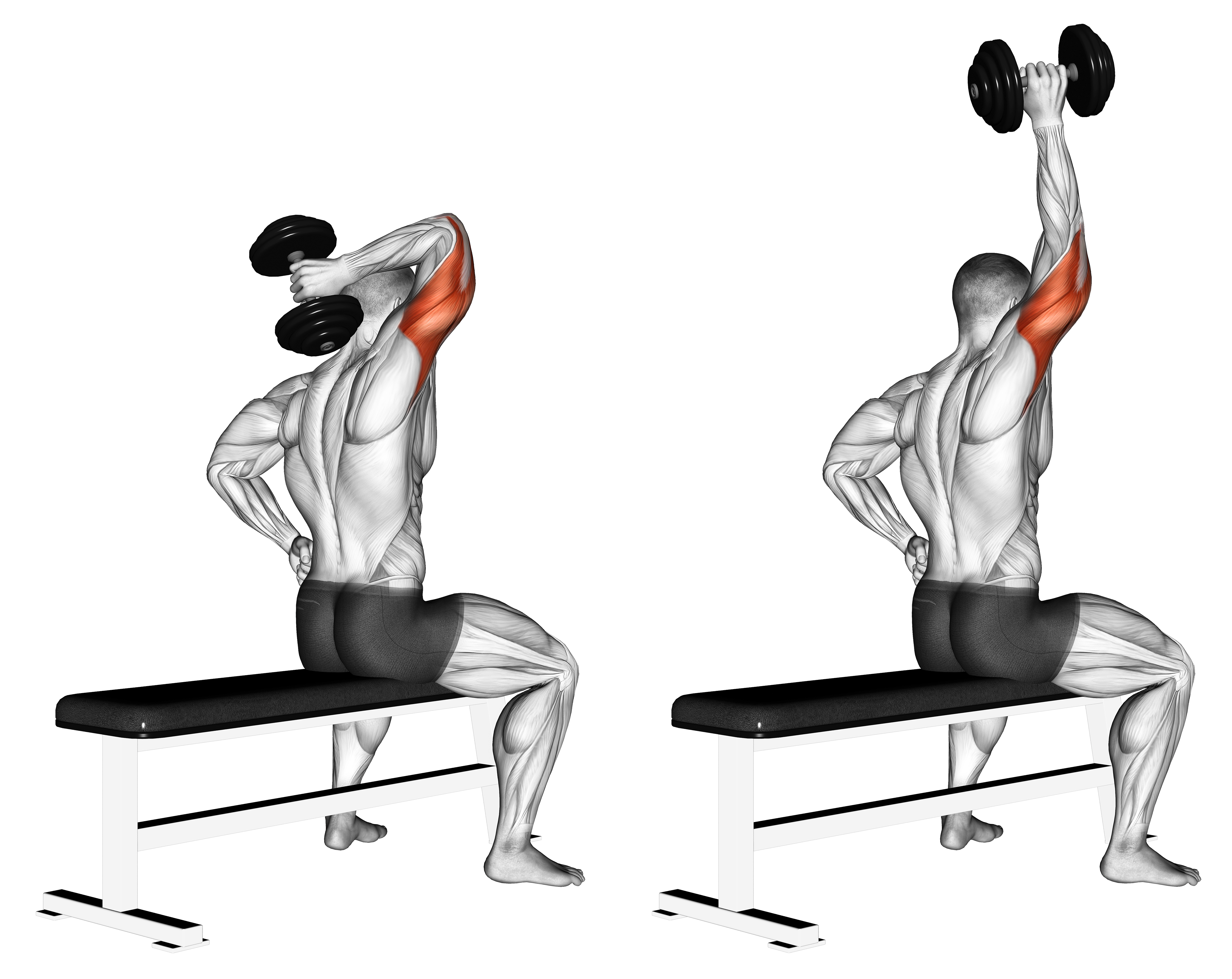 Dumbbell One Arm Triceps Extension (on Bench)