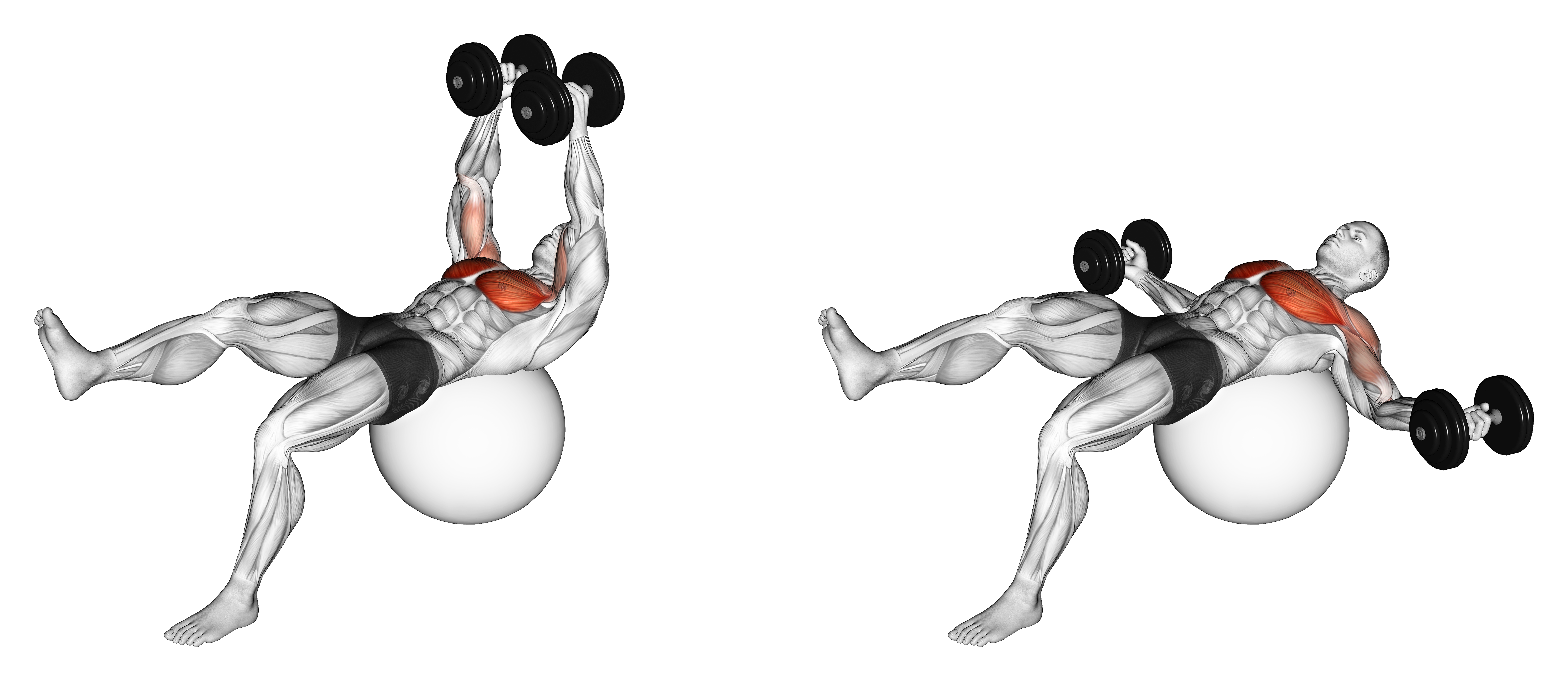 Dumbbell One Leg Fly On Exercise Ball
