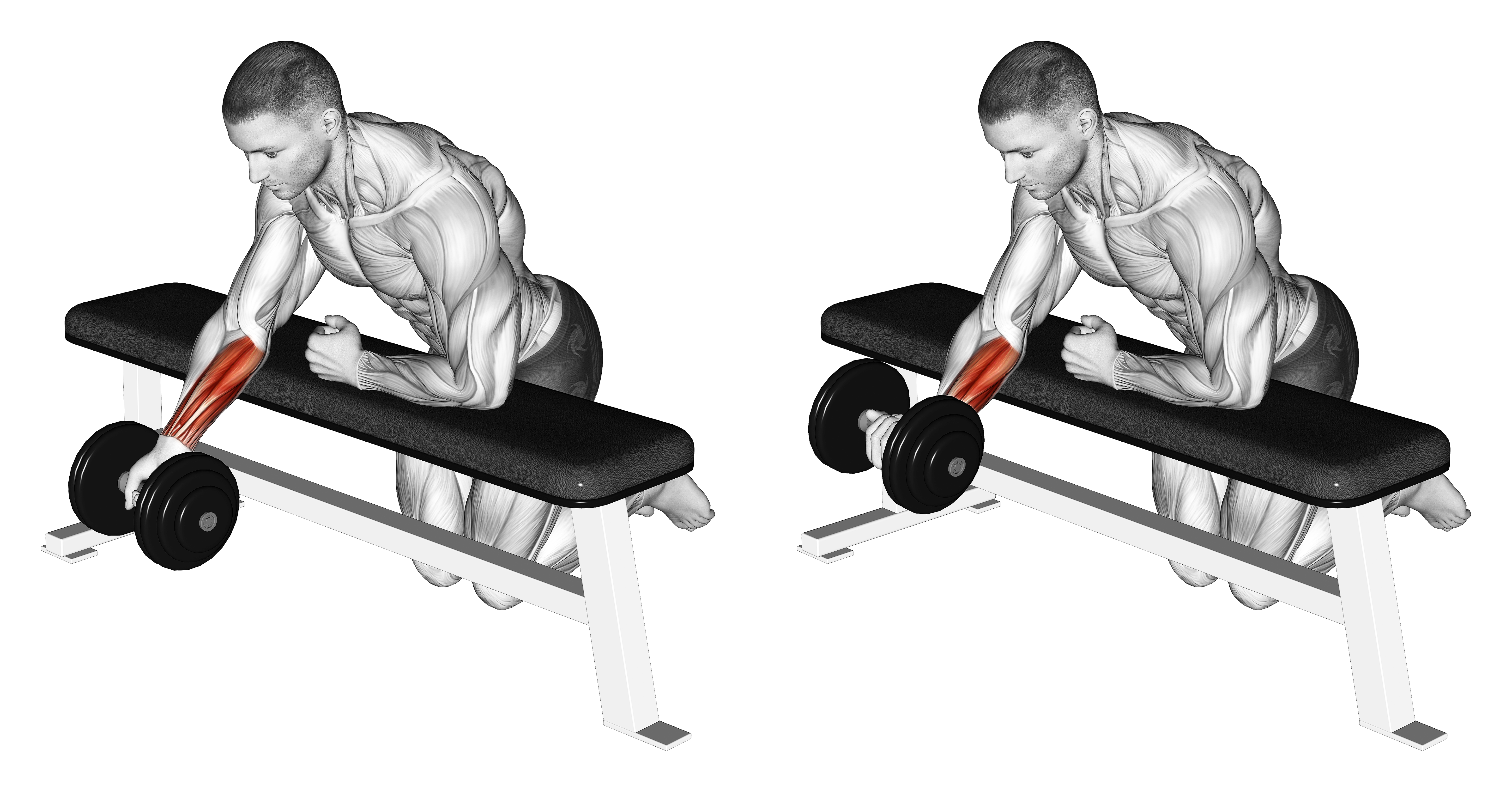 Dumbbell Over Bench One Arm Reverse Wrist Curl