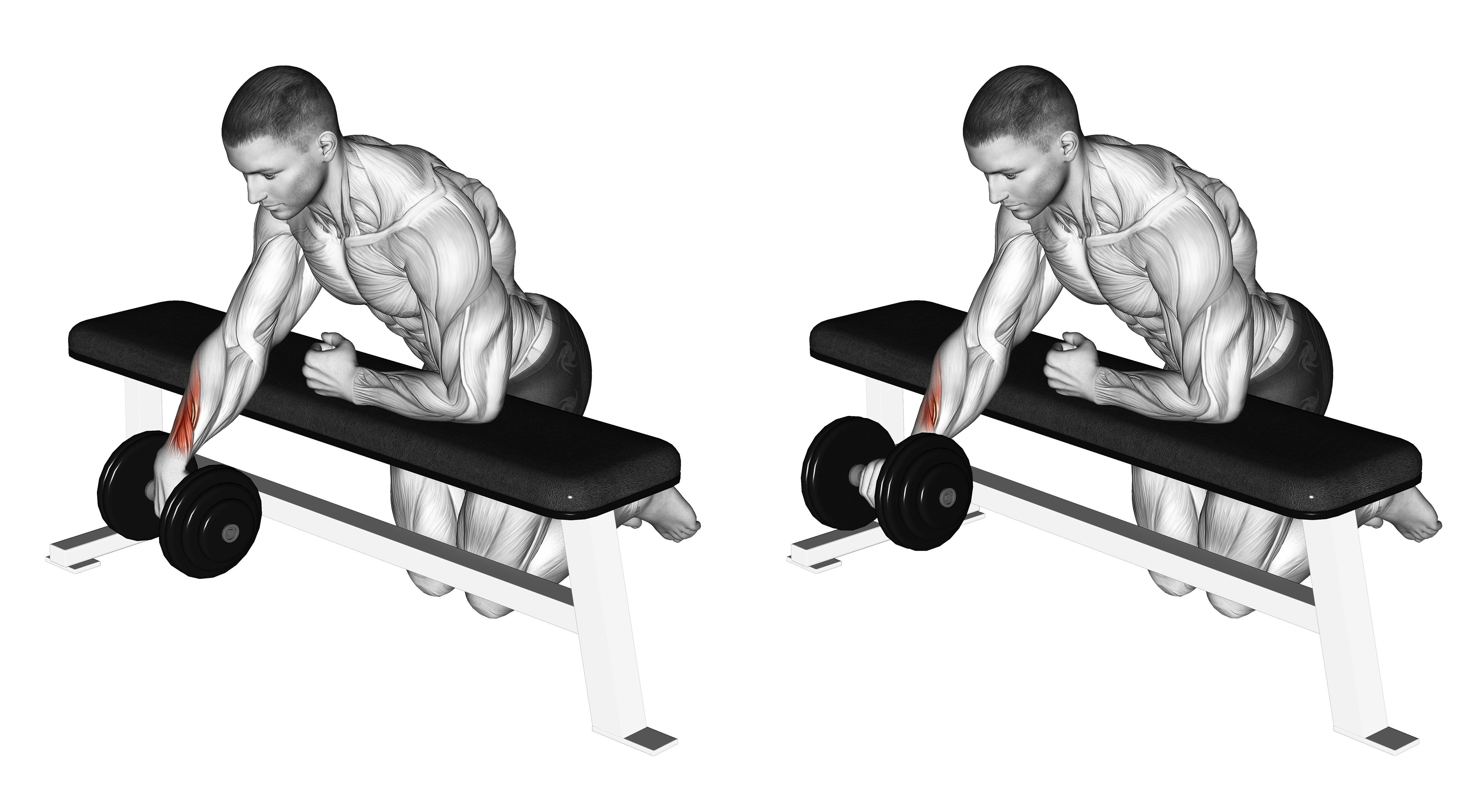 Dumbbell Over Bench One Arm Wrist Curl