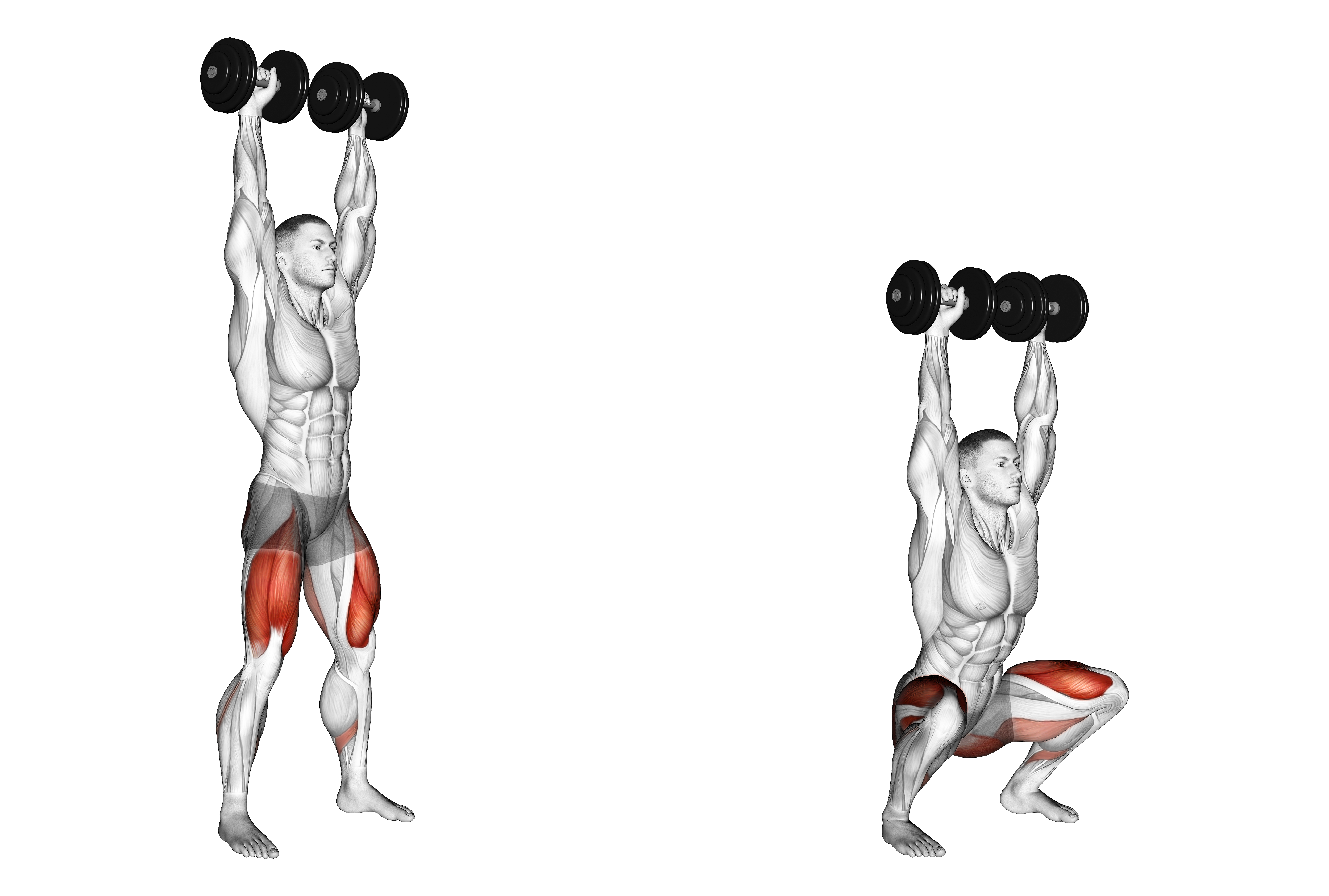 Dumbbell Overhead Squat