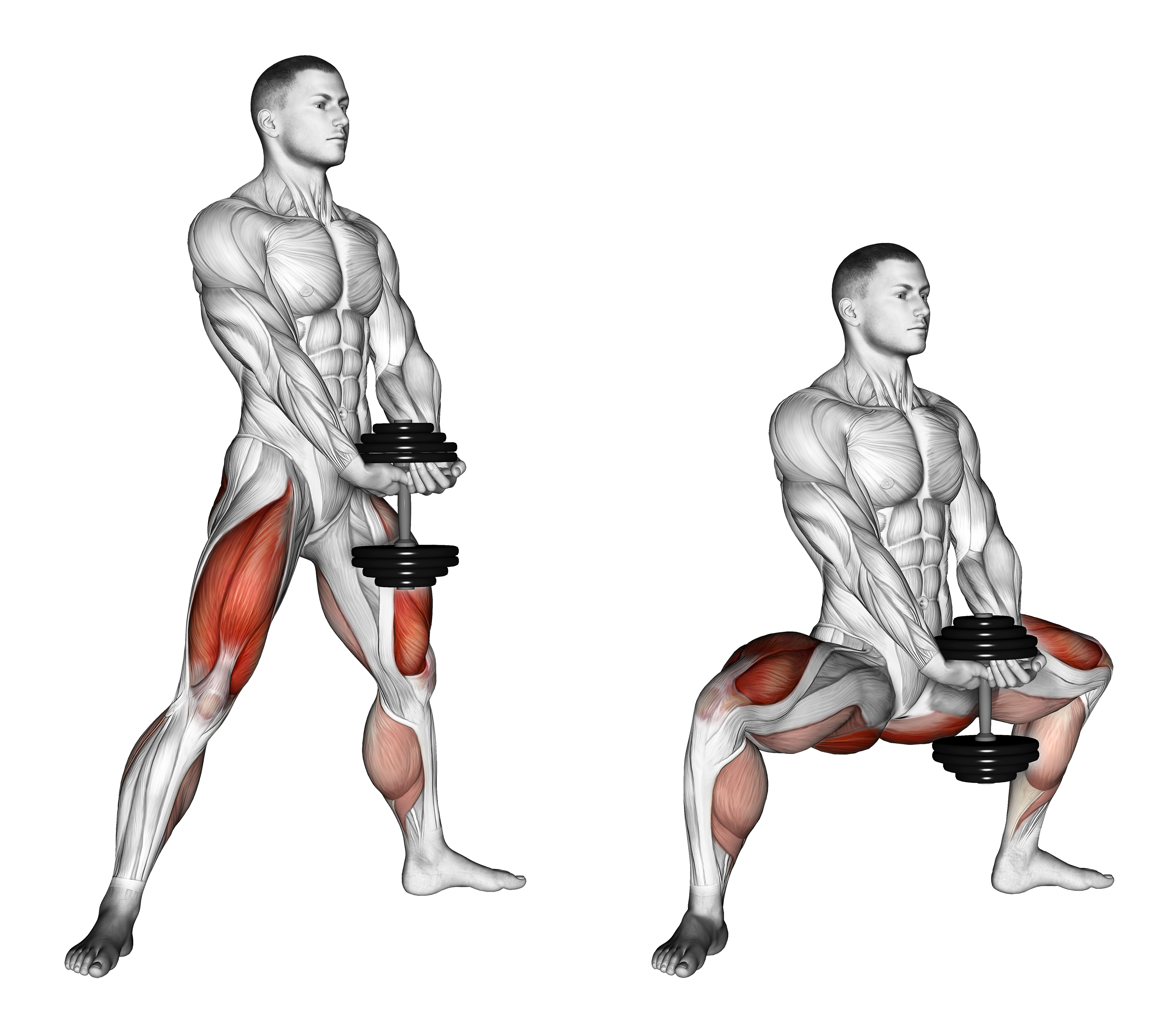 Dumbbell Plyo Squat