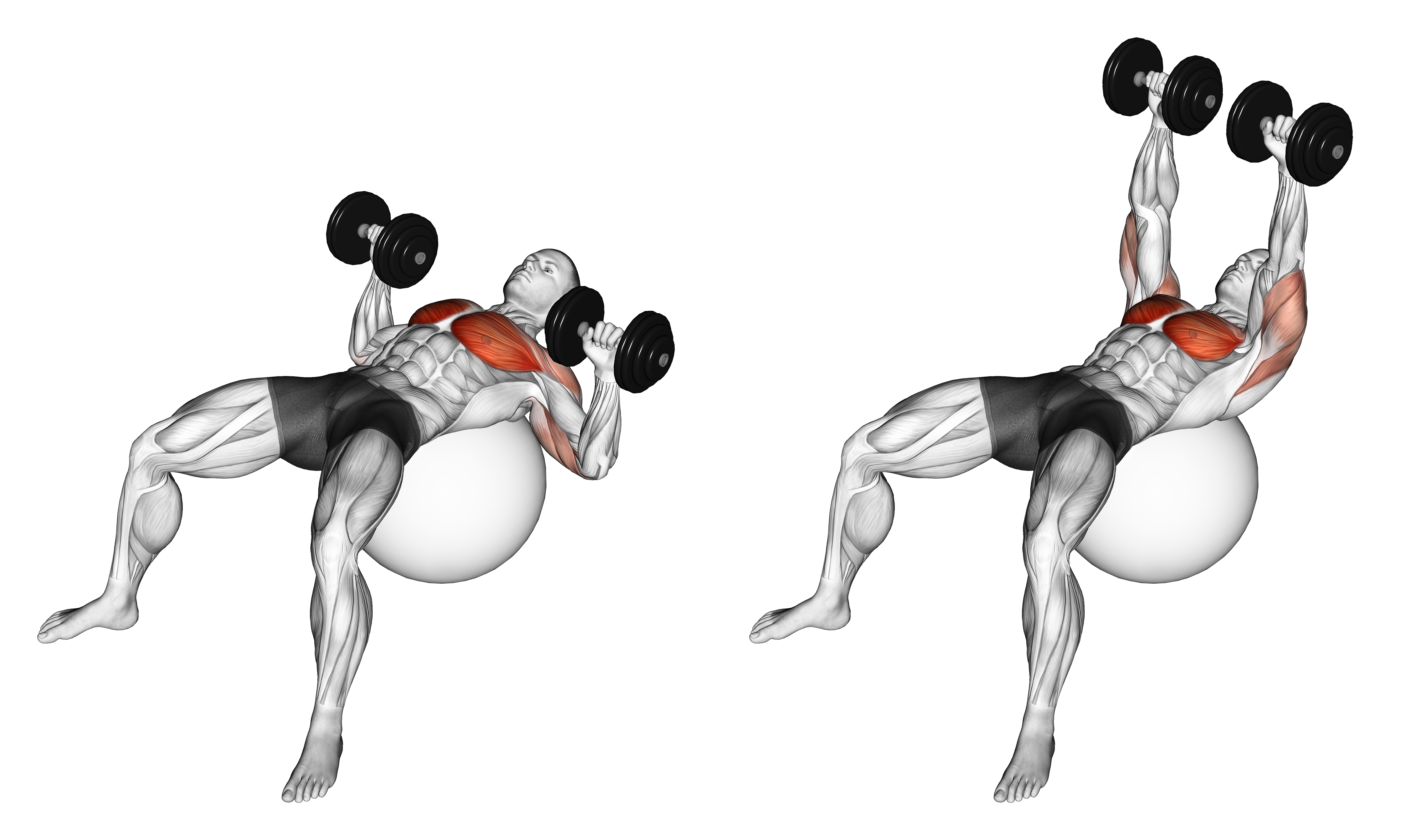 Dumbbell Press On Exercise Ball
