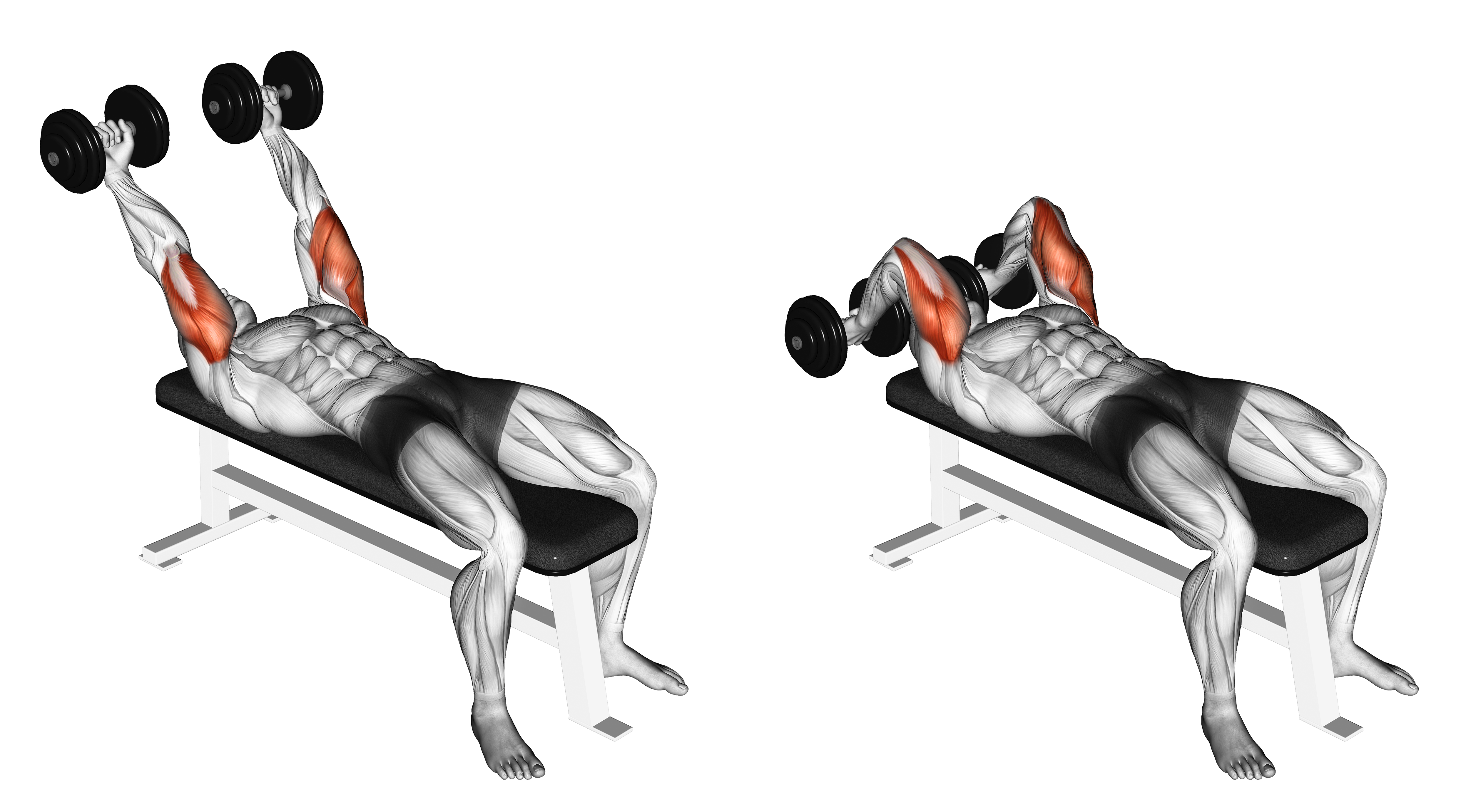 Dumbbell Pronate Grip Triceps Extension
