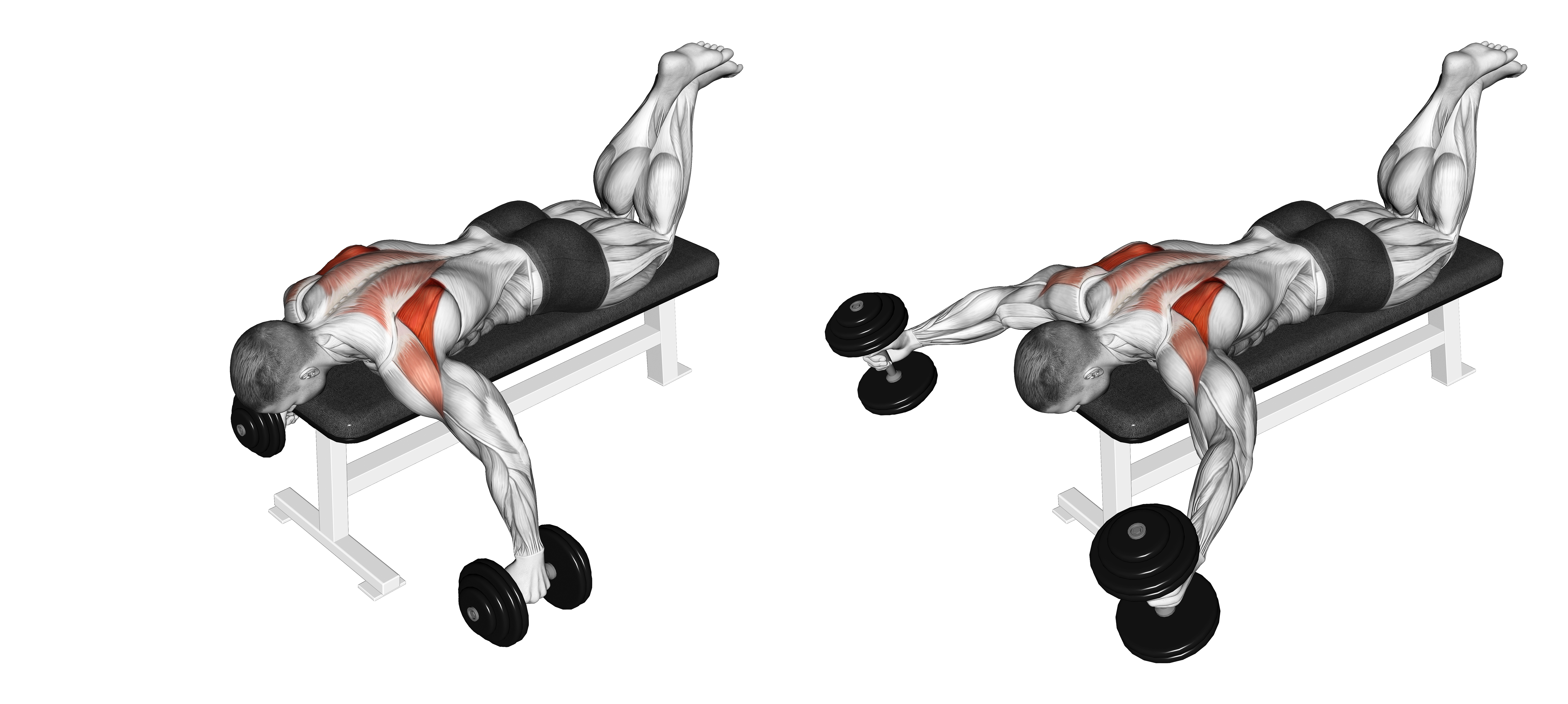 Dumbbell Prone Full Can Exercise