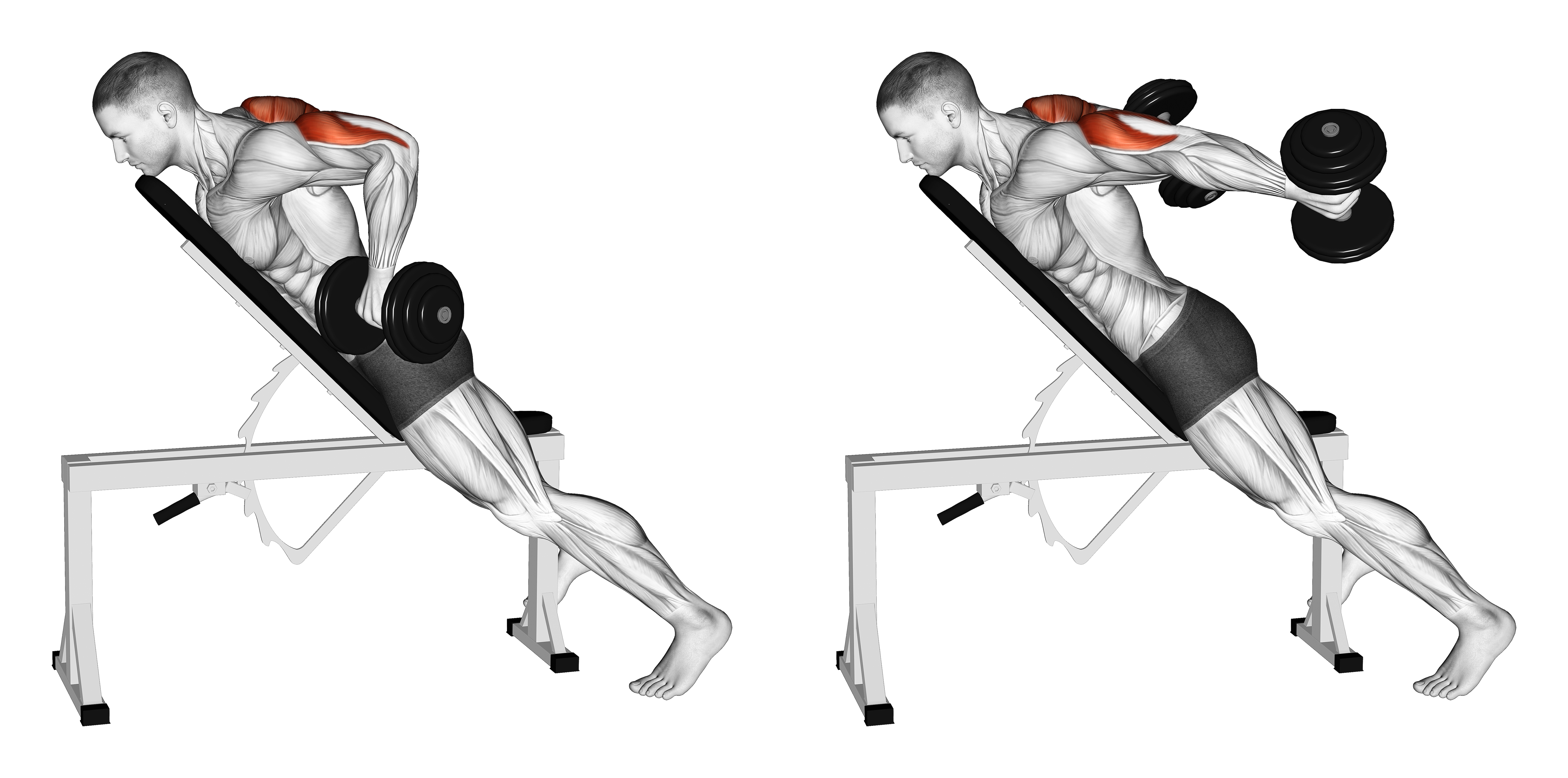 Dumbbell Prone Triceps Kickback