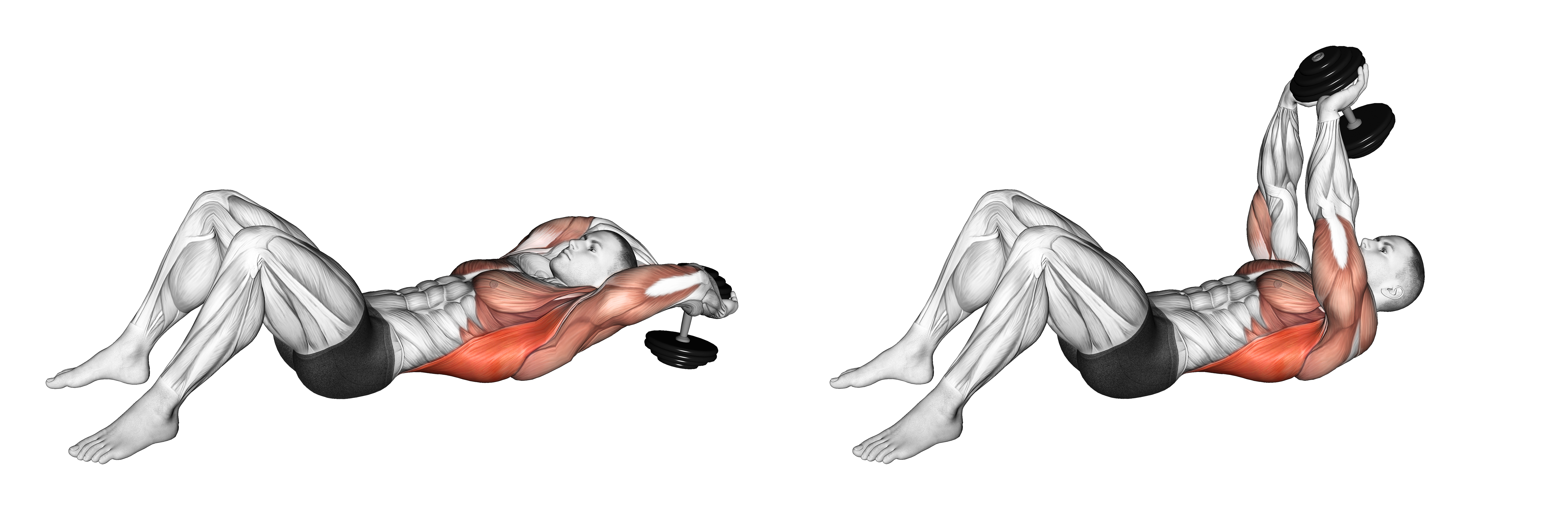 Dumbbell Pullover On Floor