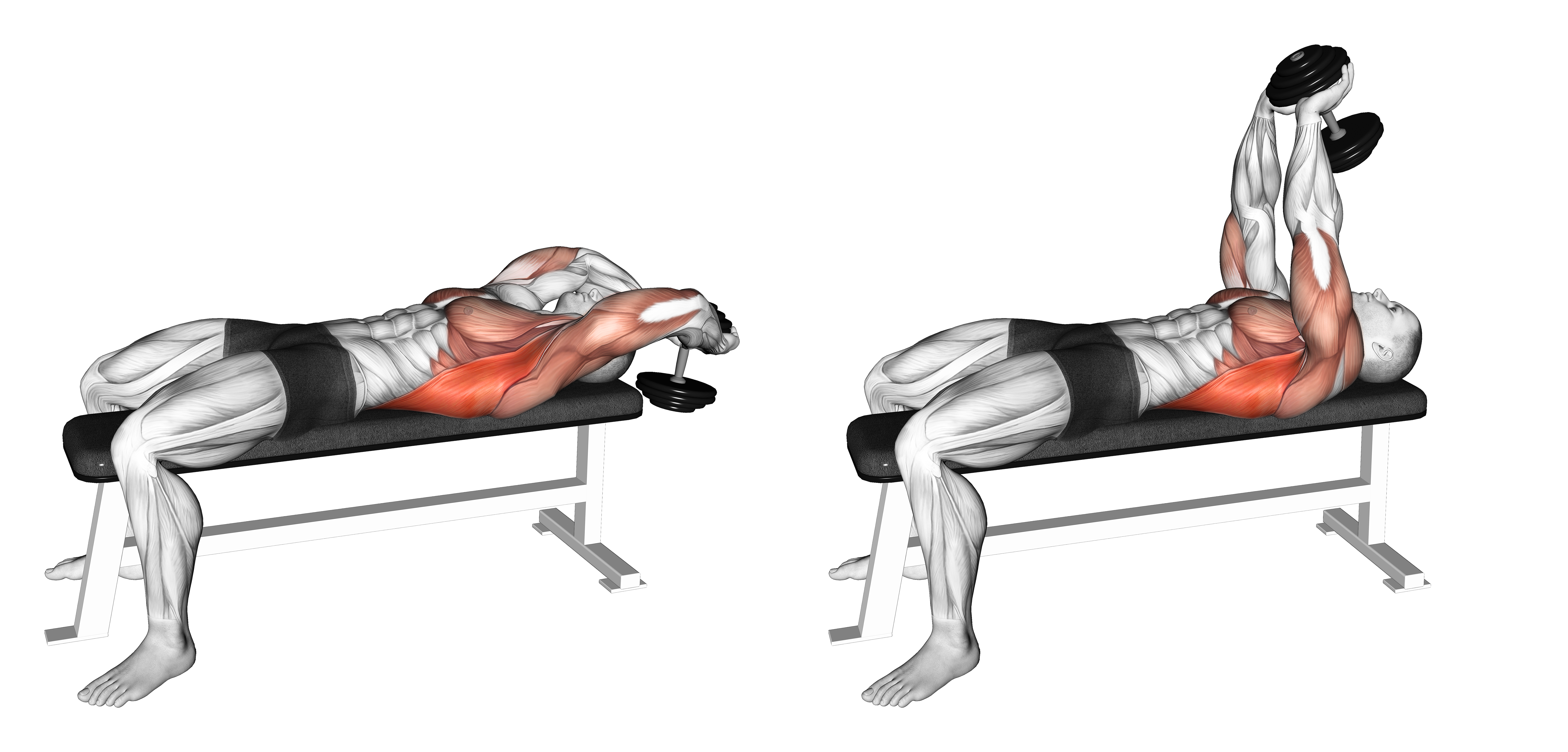Dumbbell Pullover (version 2)