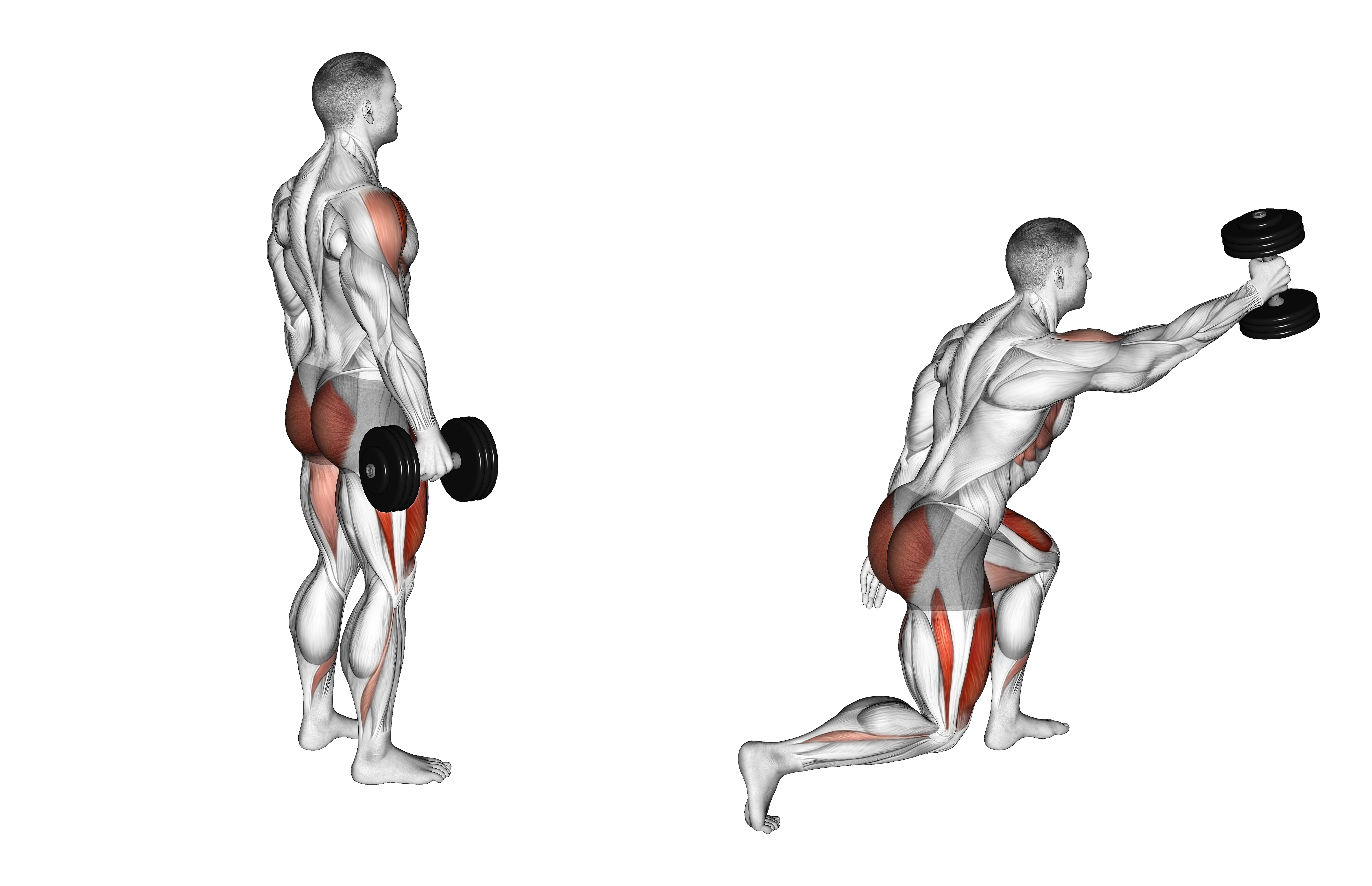 Dumbbell Rear Lunge Front Raise
