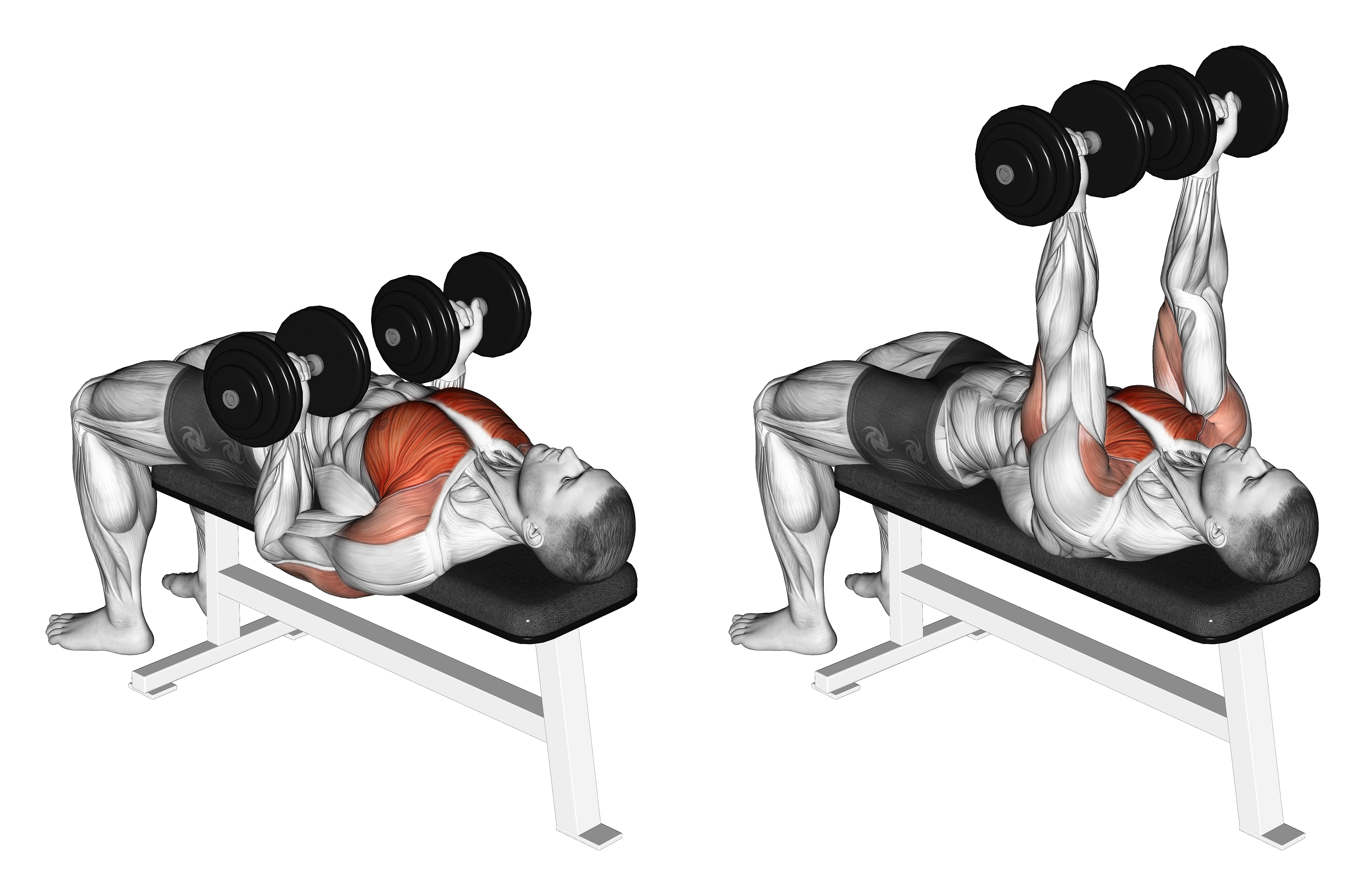 Dumbbell Reverse Bench Press