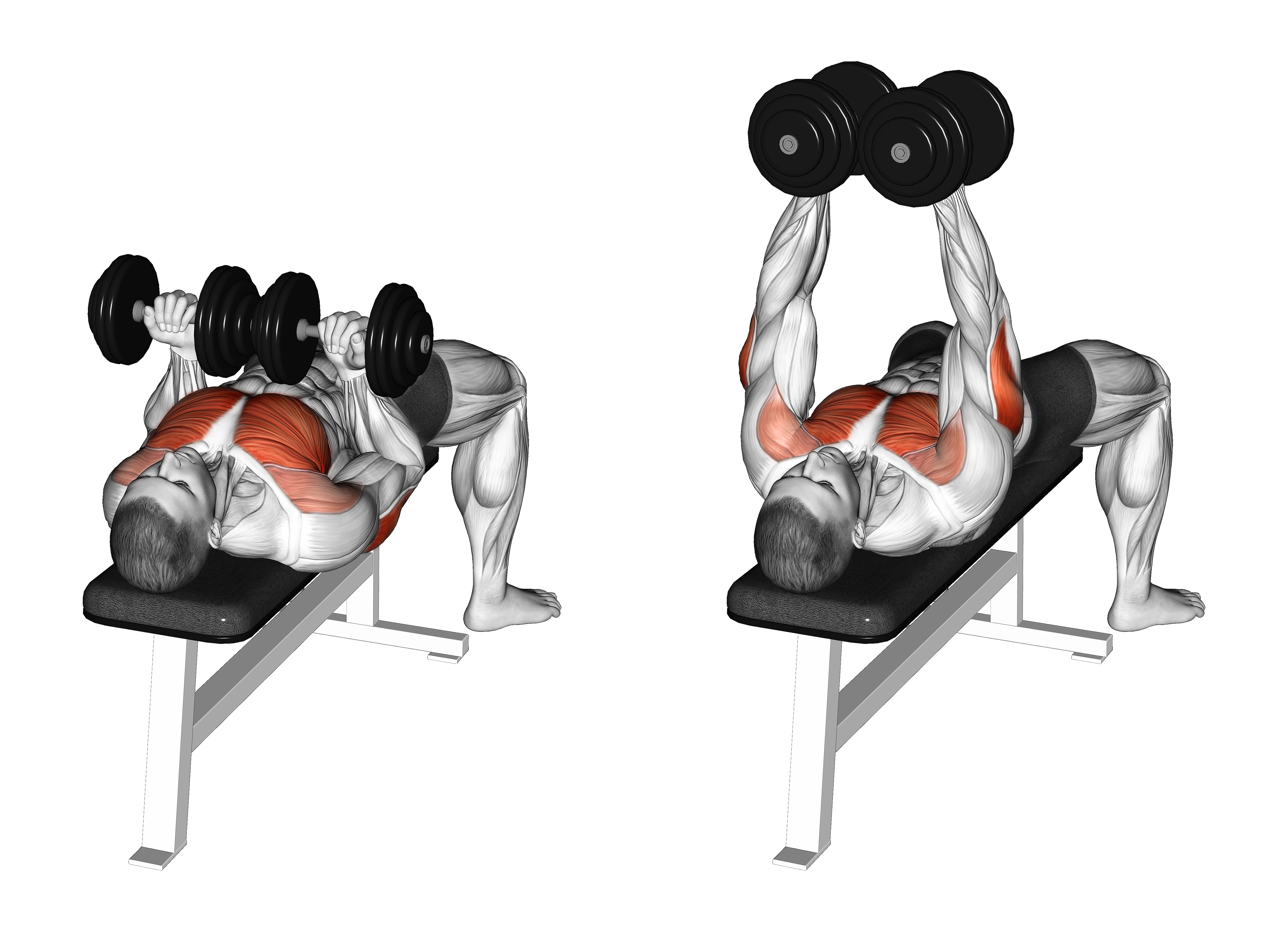 Dumbbell Reverse Grip Squeeze Bench Press