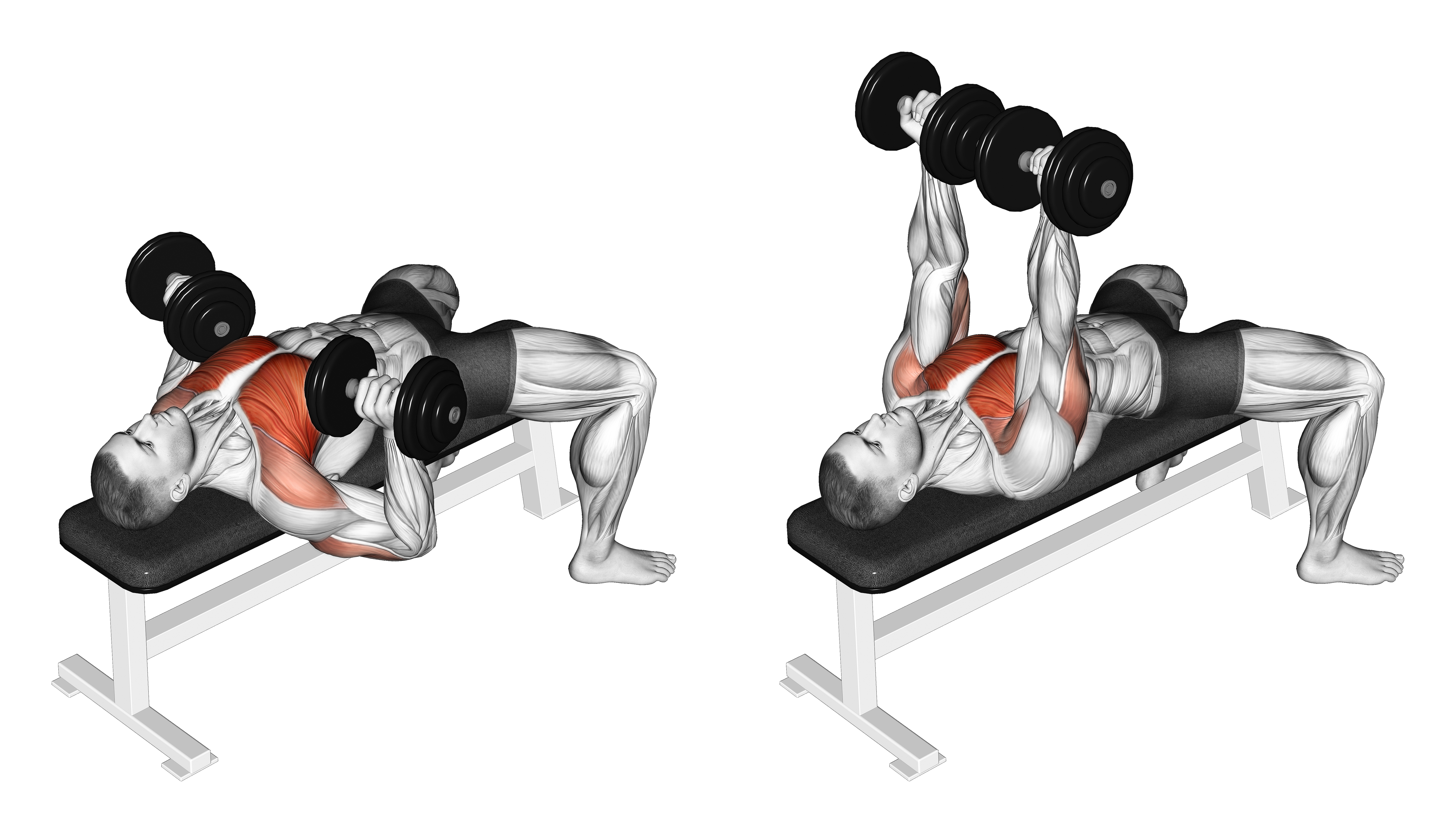 Dumbbell Rotational Grip Bench Press