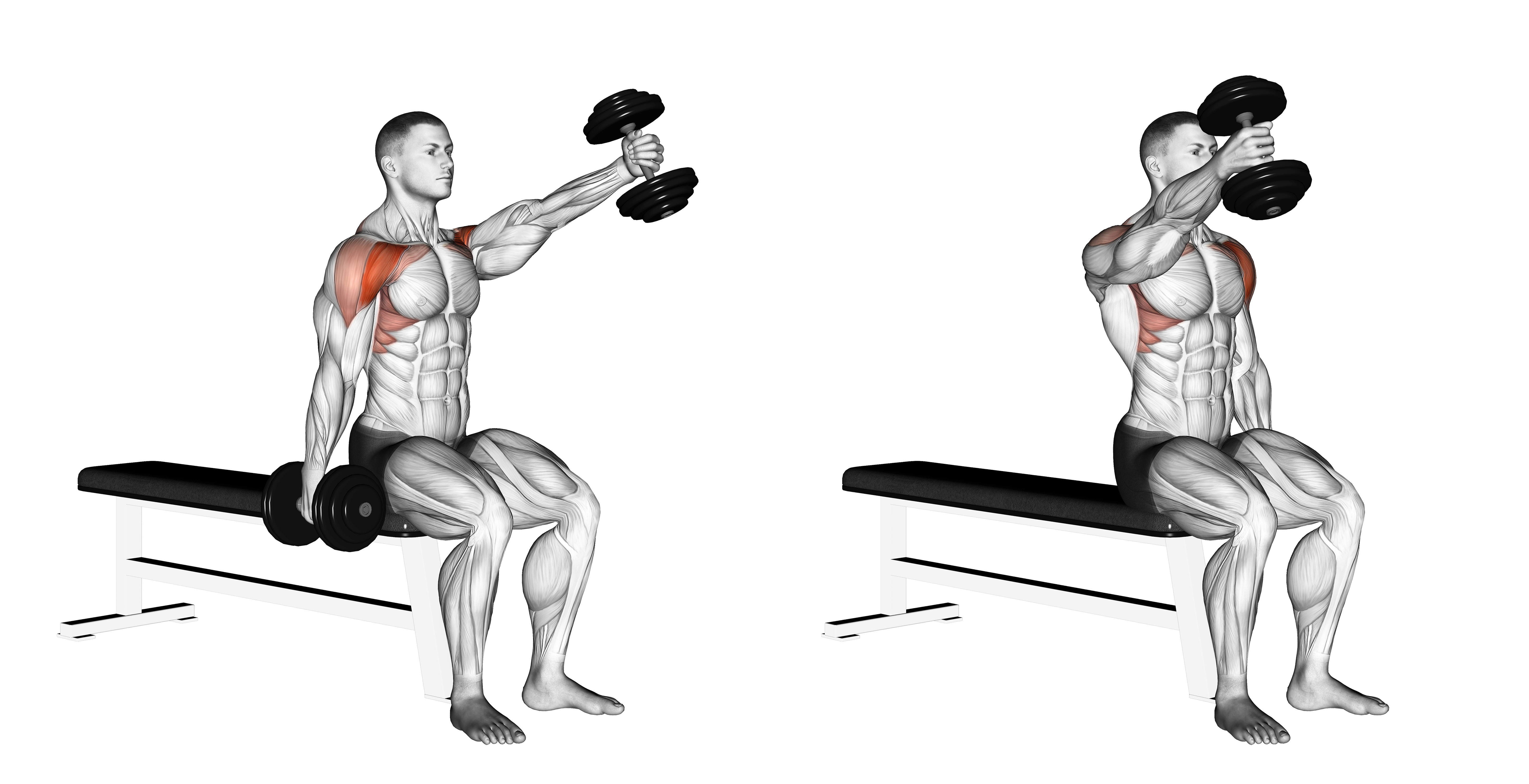 Dumbbell Seated Alternate Front Raise