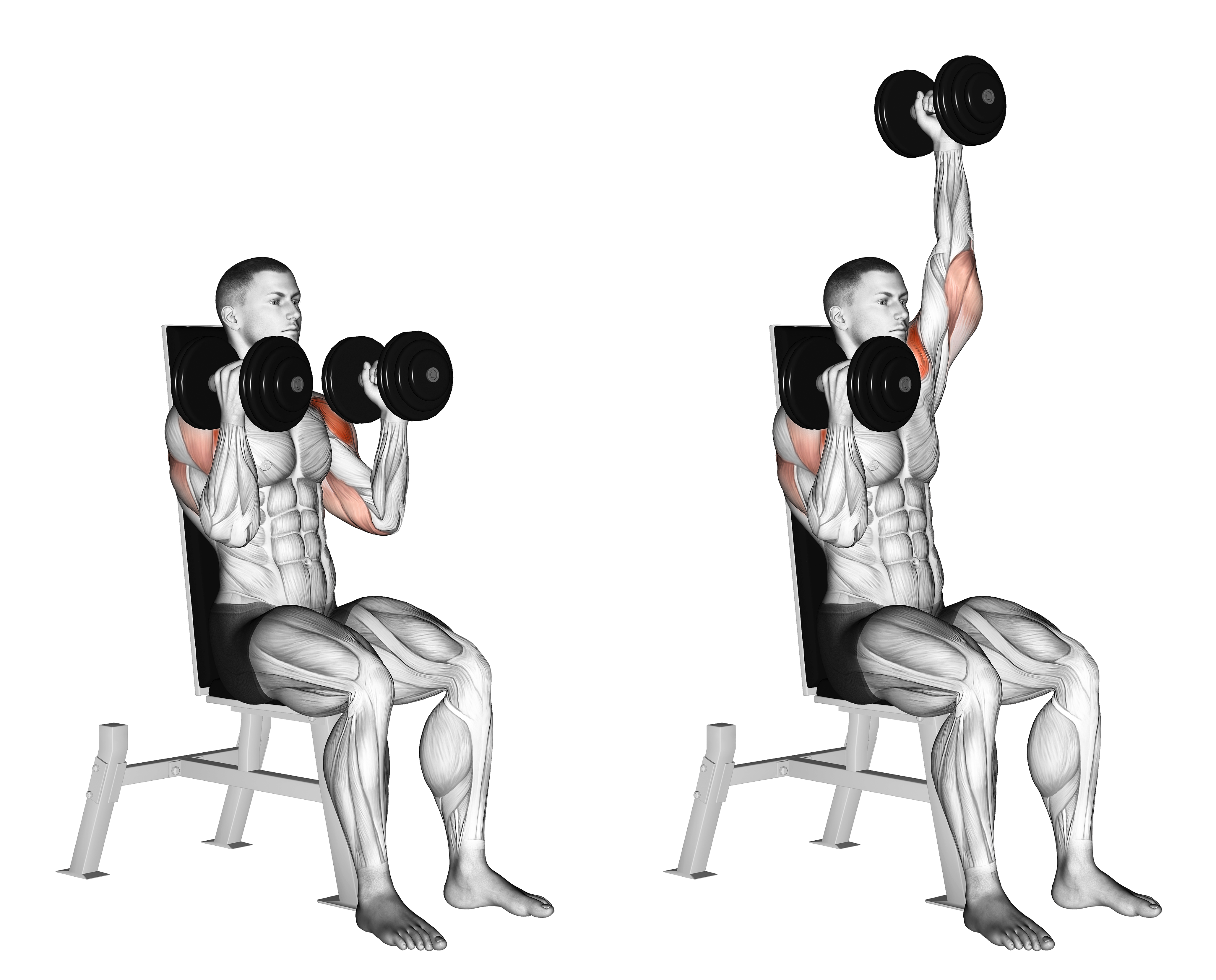 Dumbbell Seated Alternate Press