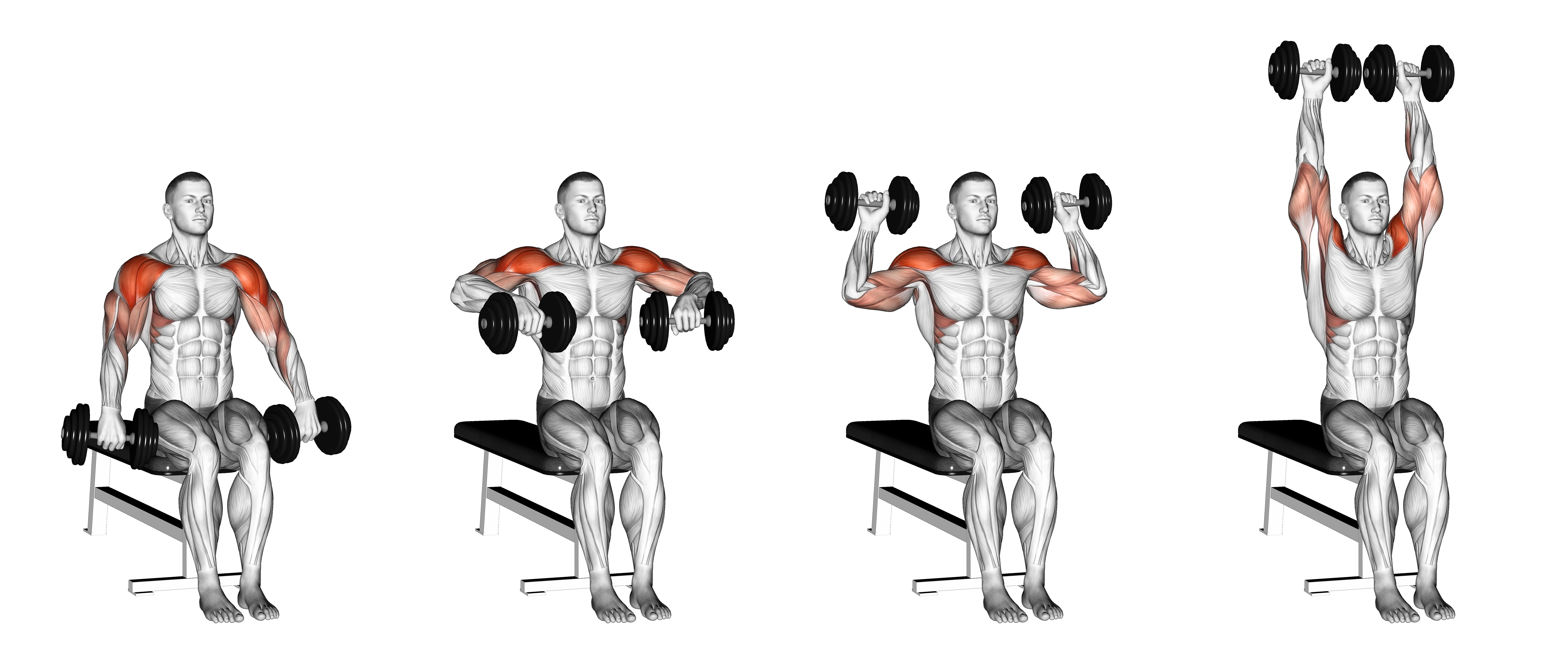 Dumbbell Seated Cuban Press