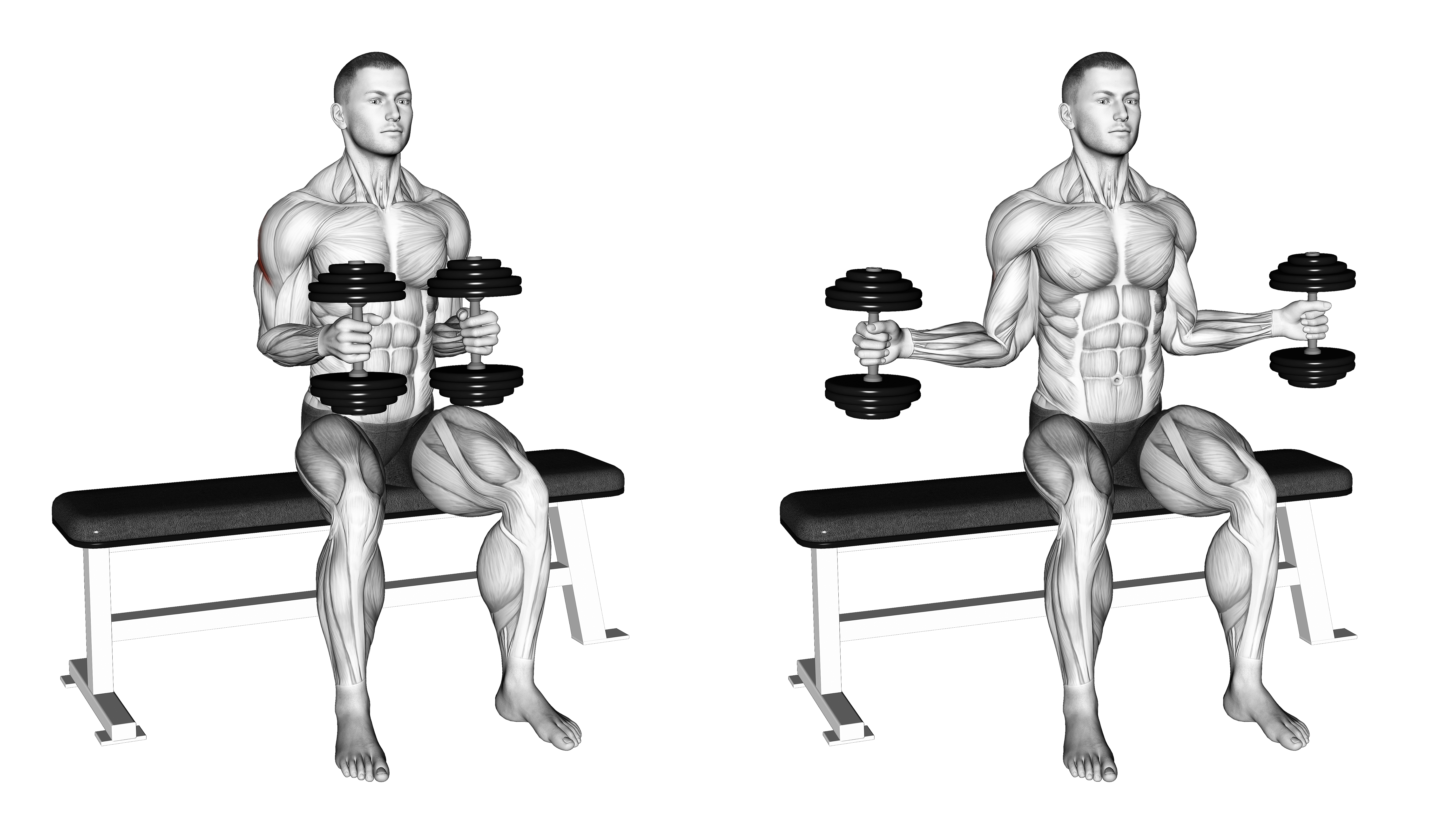 Dumbbell Seated External Rotation