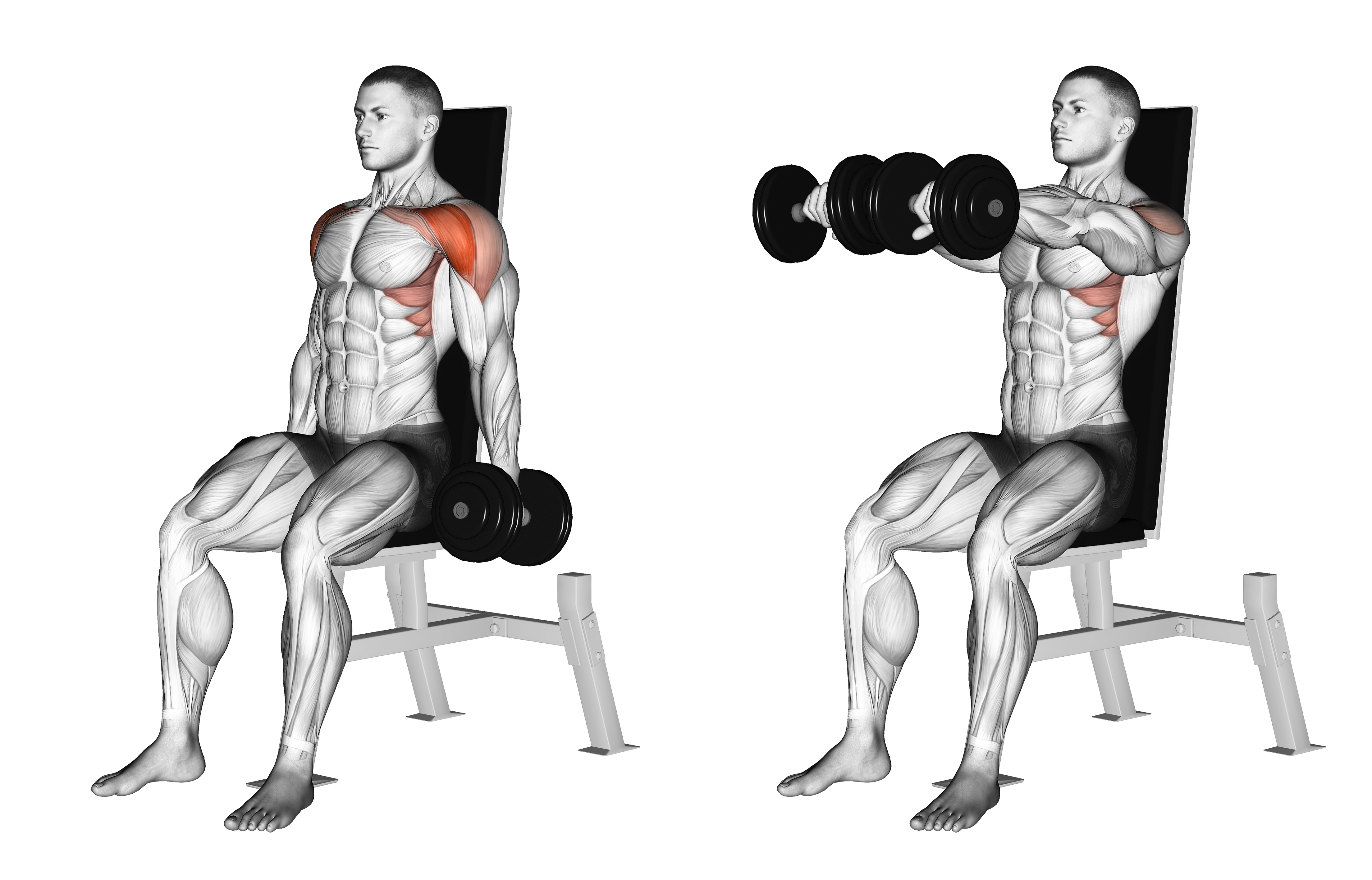 Dumbbell Seated Front Raise
