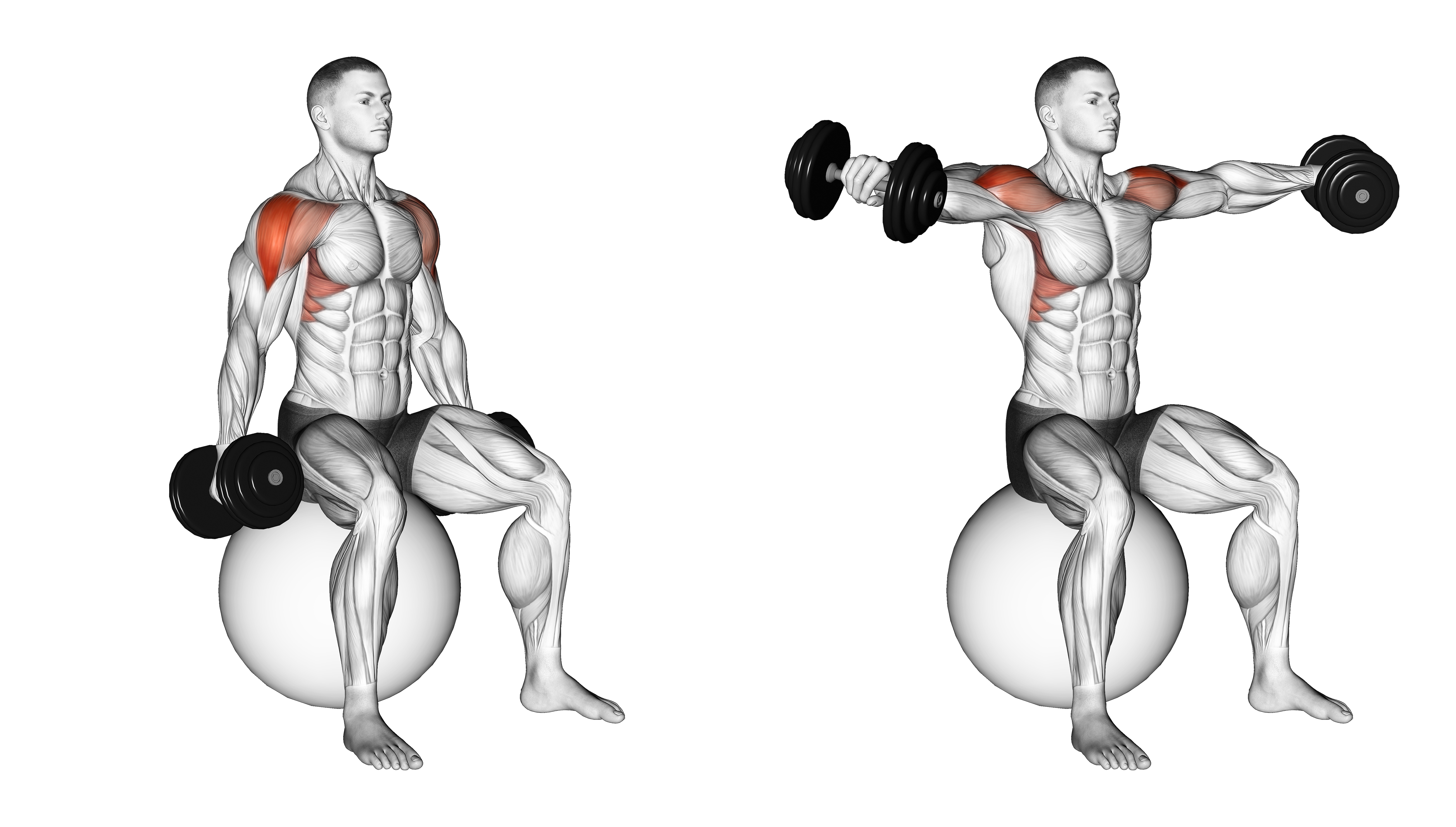 Dumbbell Seated Lateral Raise On Stability Ball