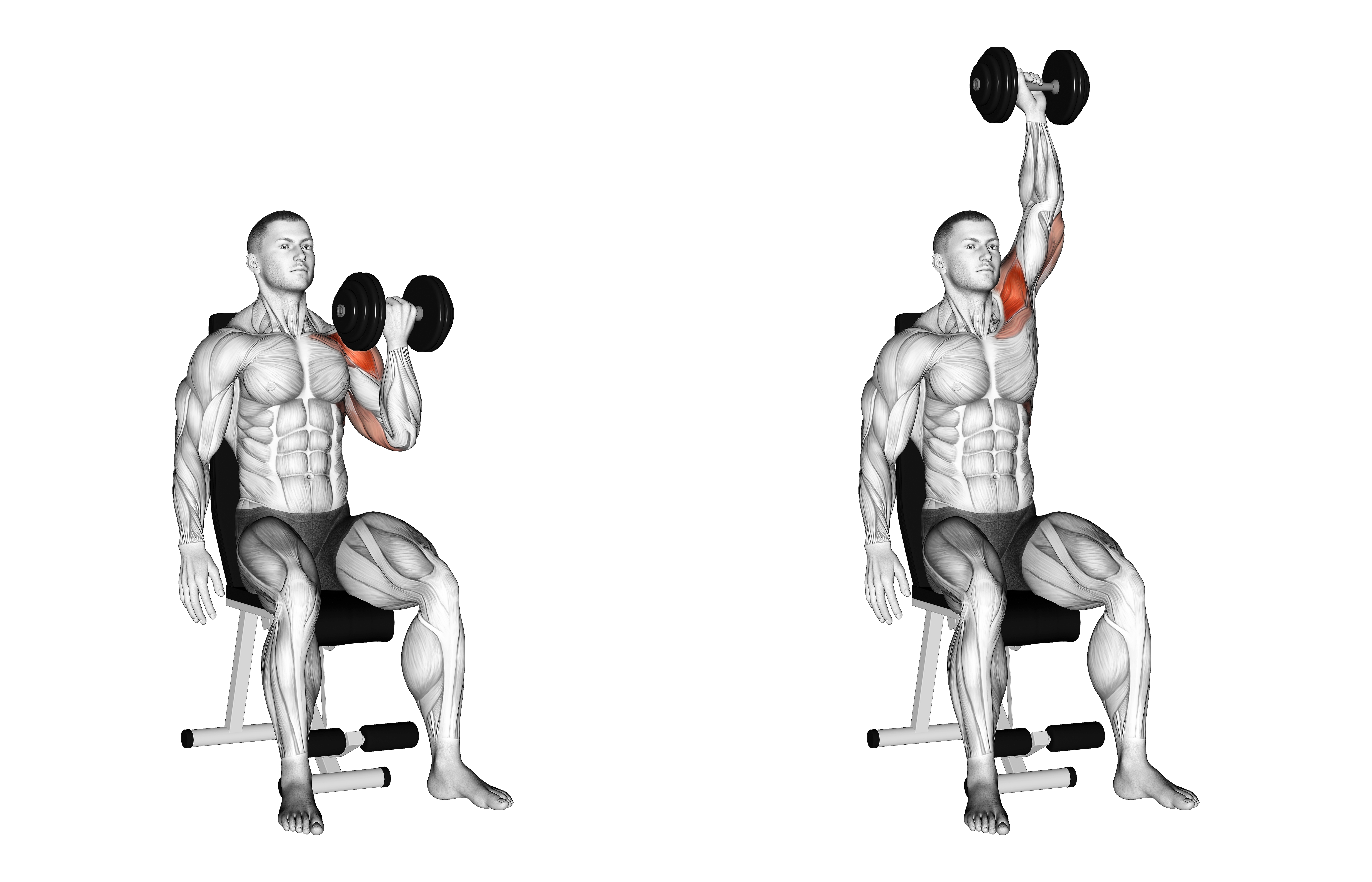 Dumbbell Seated One Arm Arnold Press