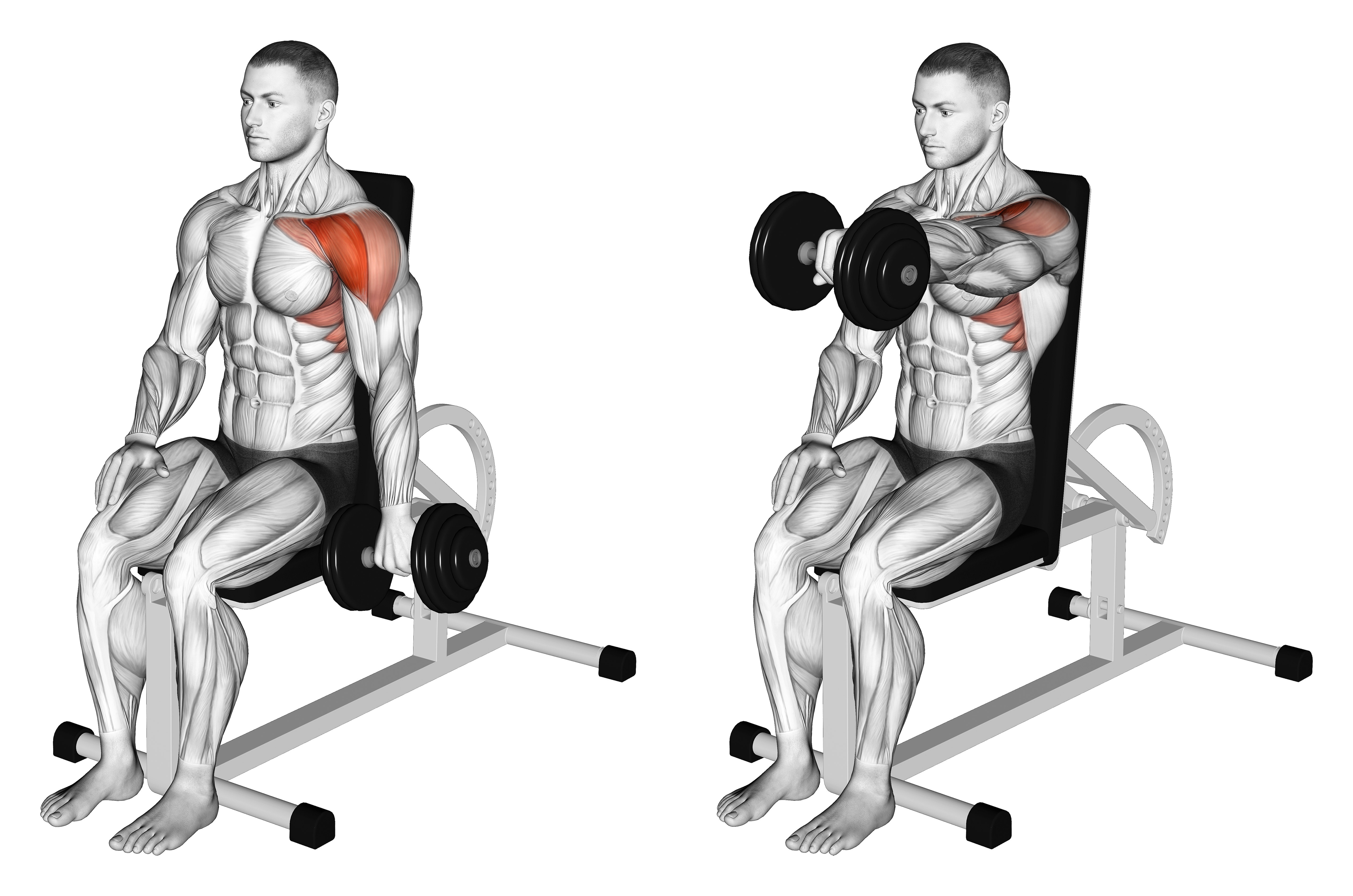 Dumbbell Seated One Arm Front Raise