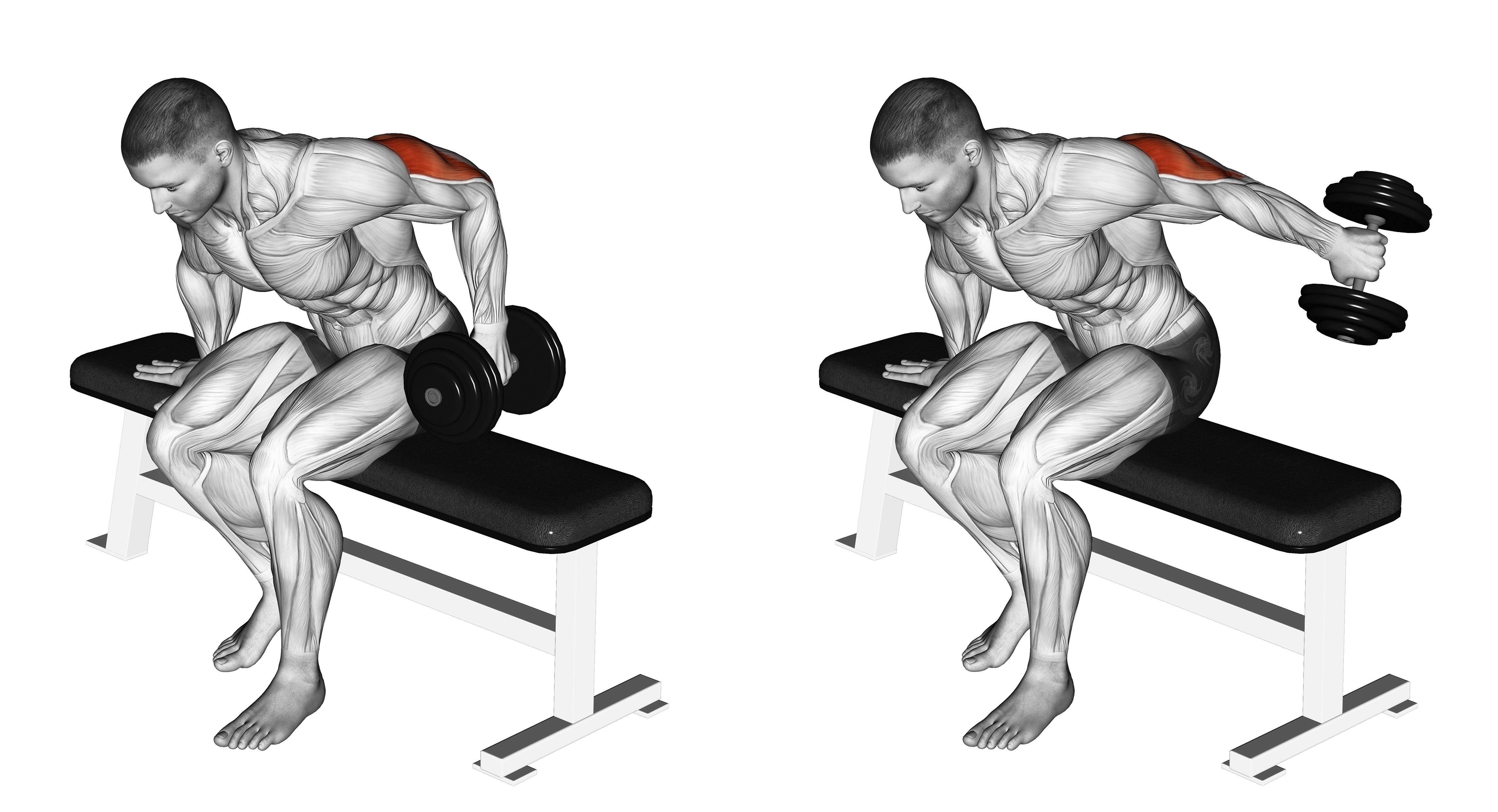 Dumbbell Seated One Arm Kickback