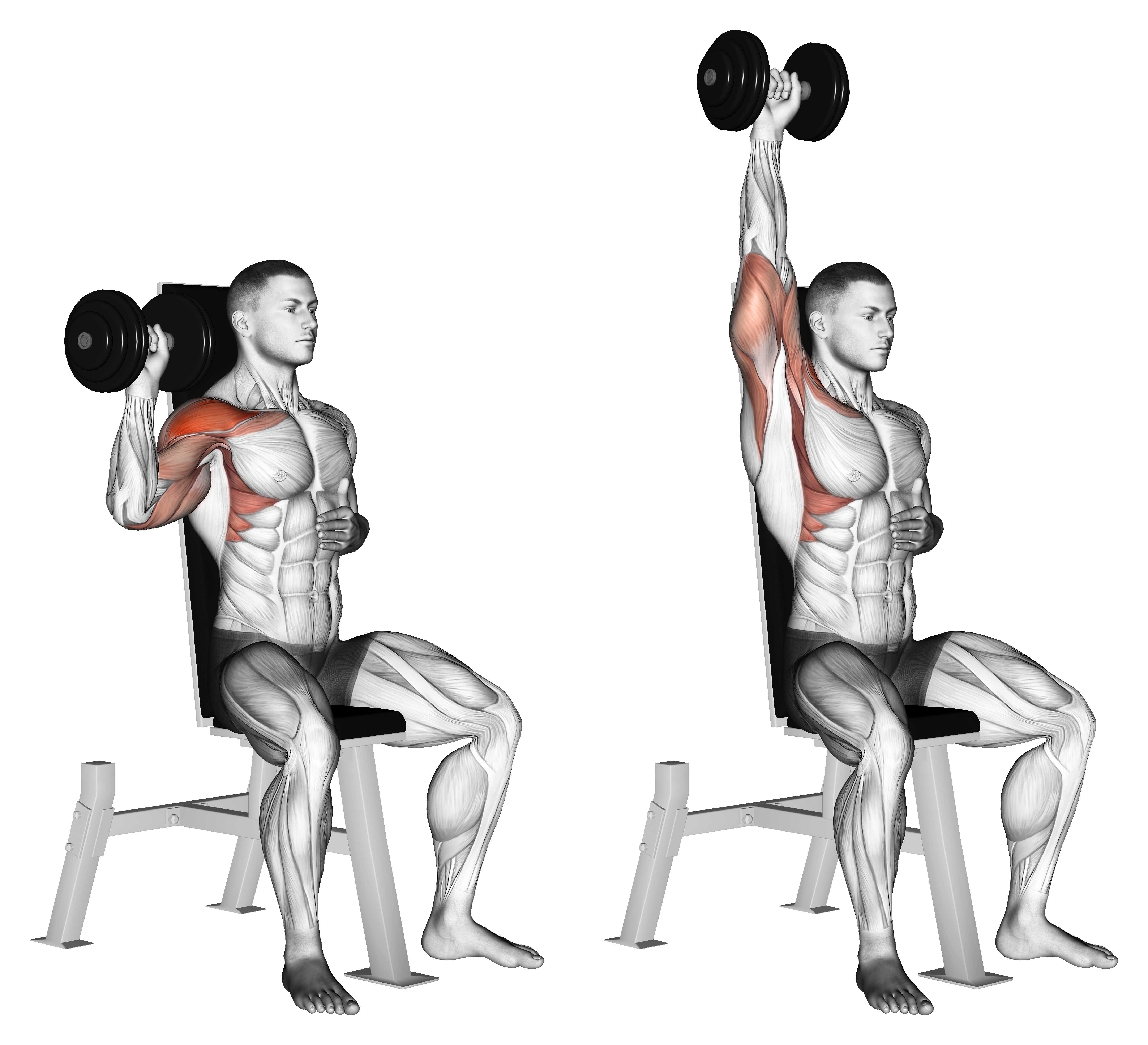Dumbbell Seated One Arm Shoulder Press