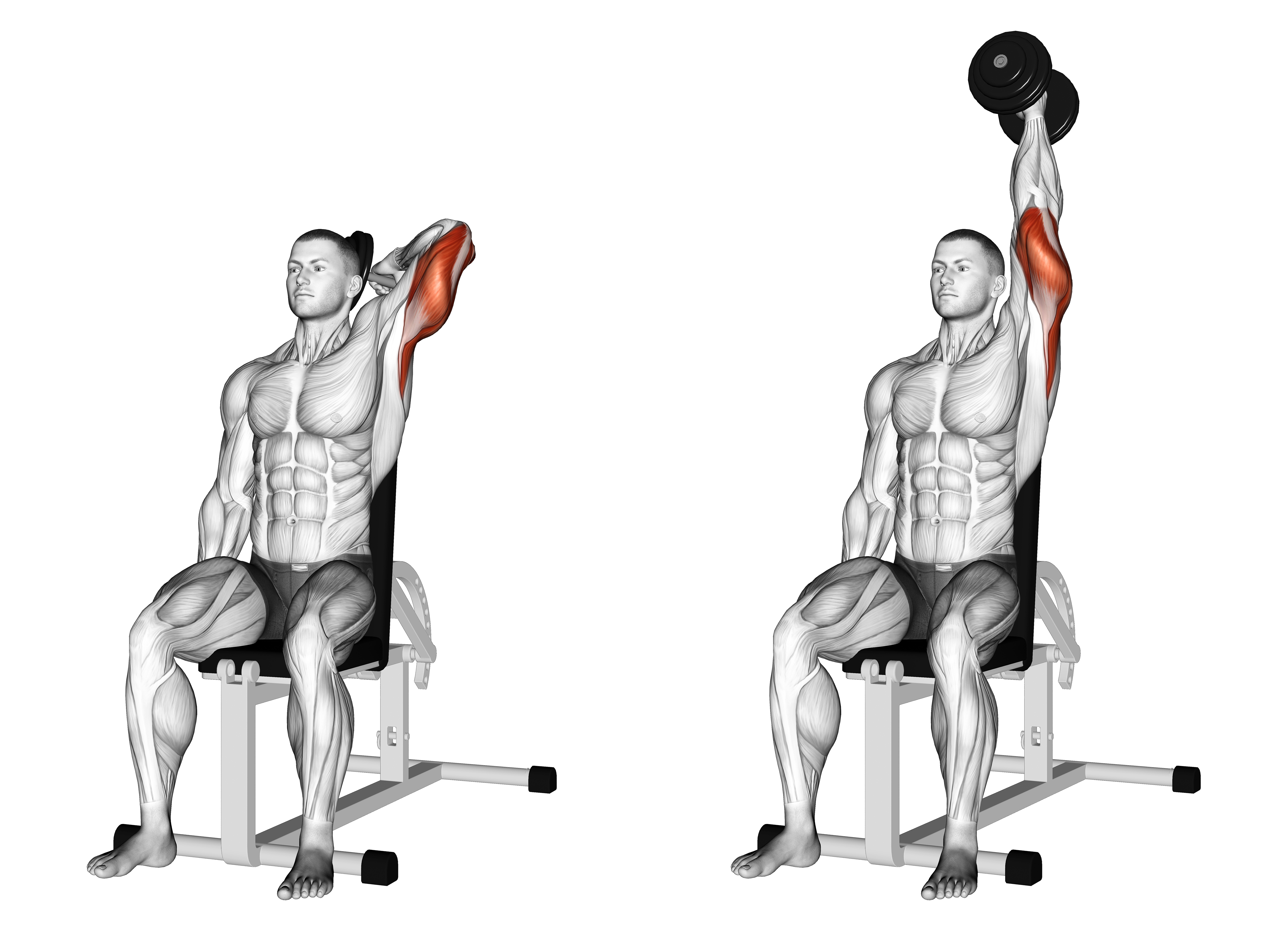 Dumbbell Seated Reverse Grip One Arm Overhead Tricep Extension