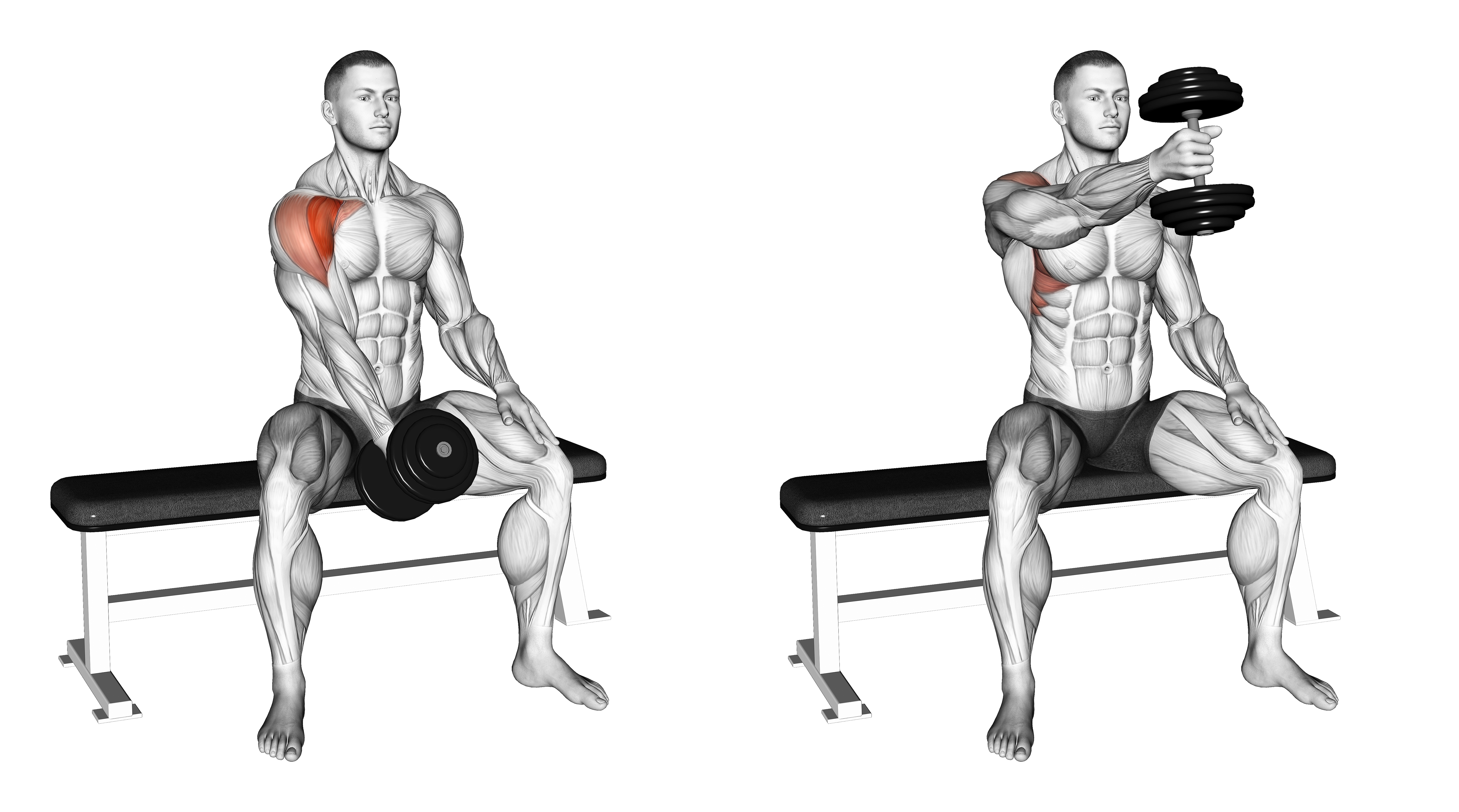 Dumbbell Seated Single Arm Front Raise