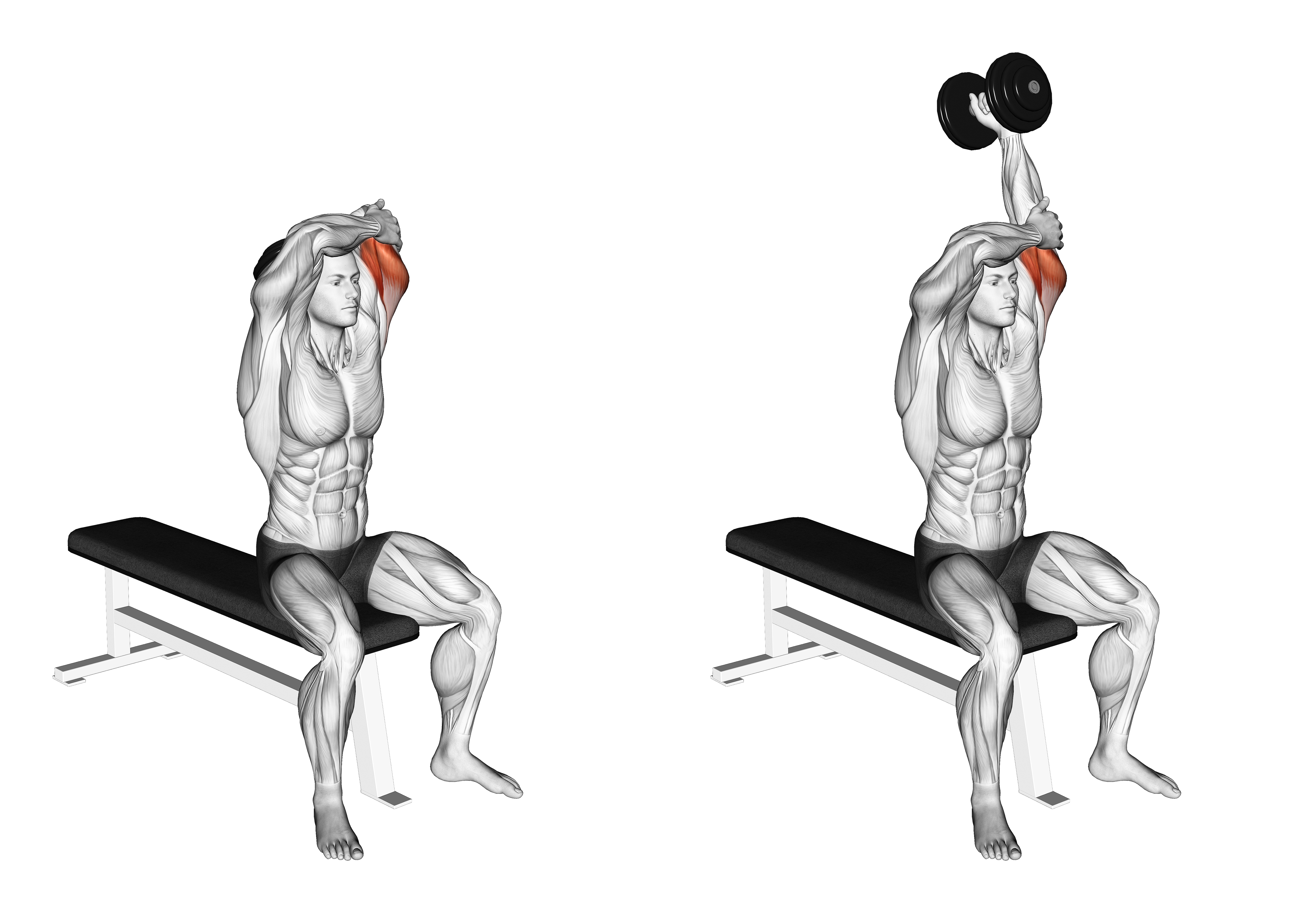 Dumbbell Seated Single Arm Overhead Triceps Extension (left)
