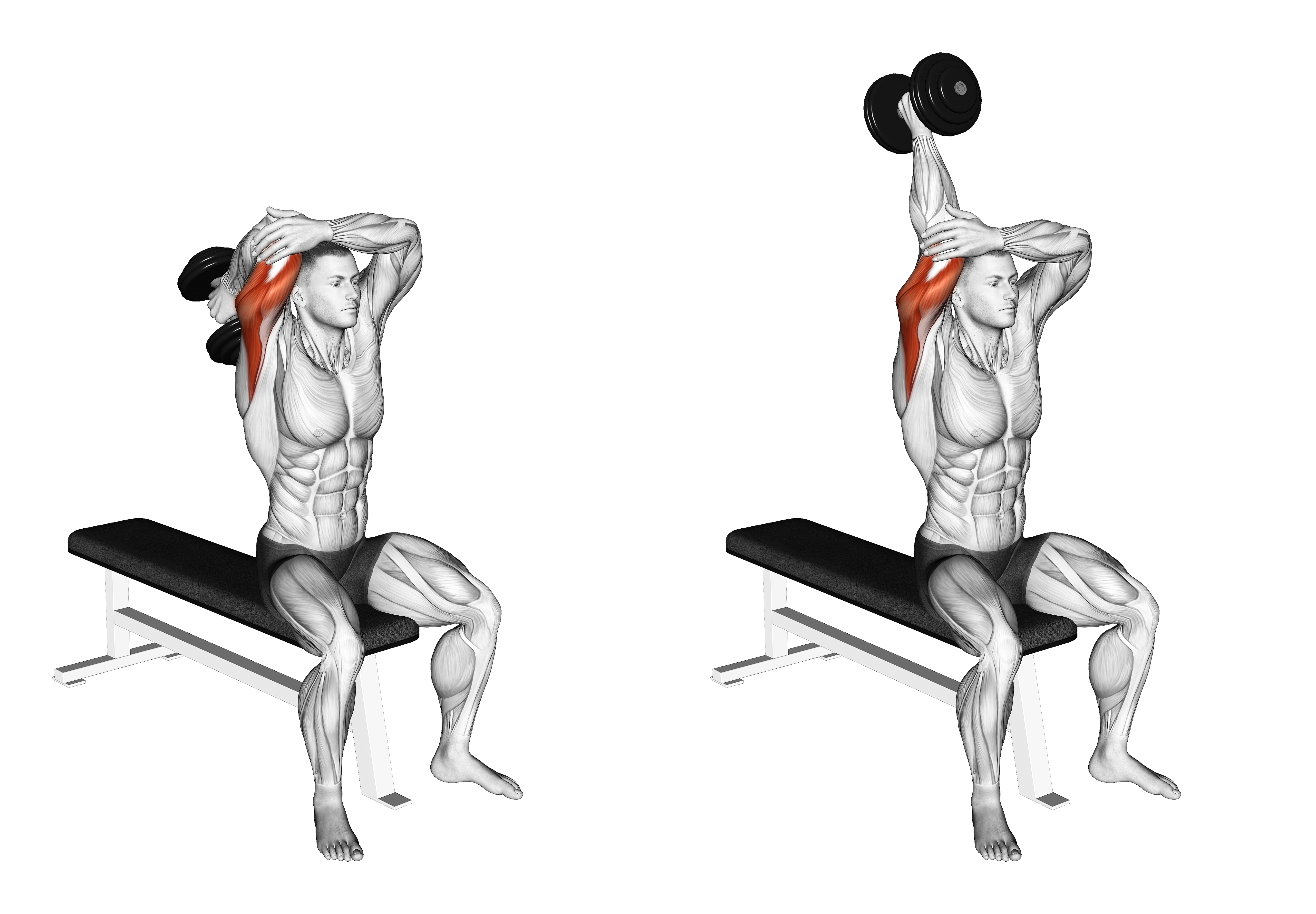 Dumbbell Seated Single Arm Overhead Triceps Extension
