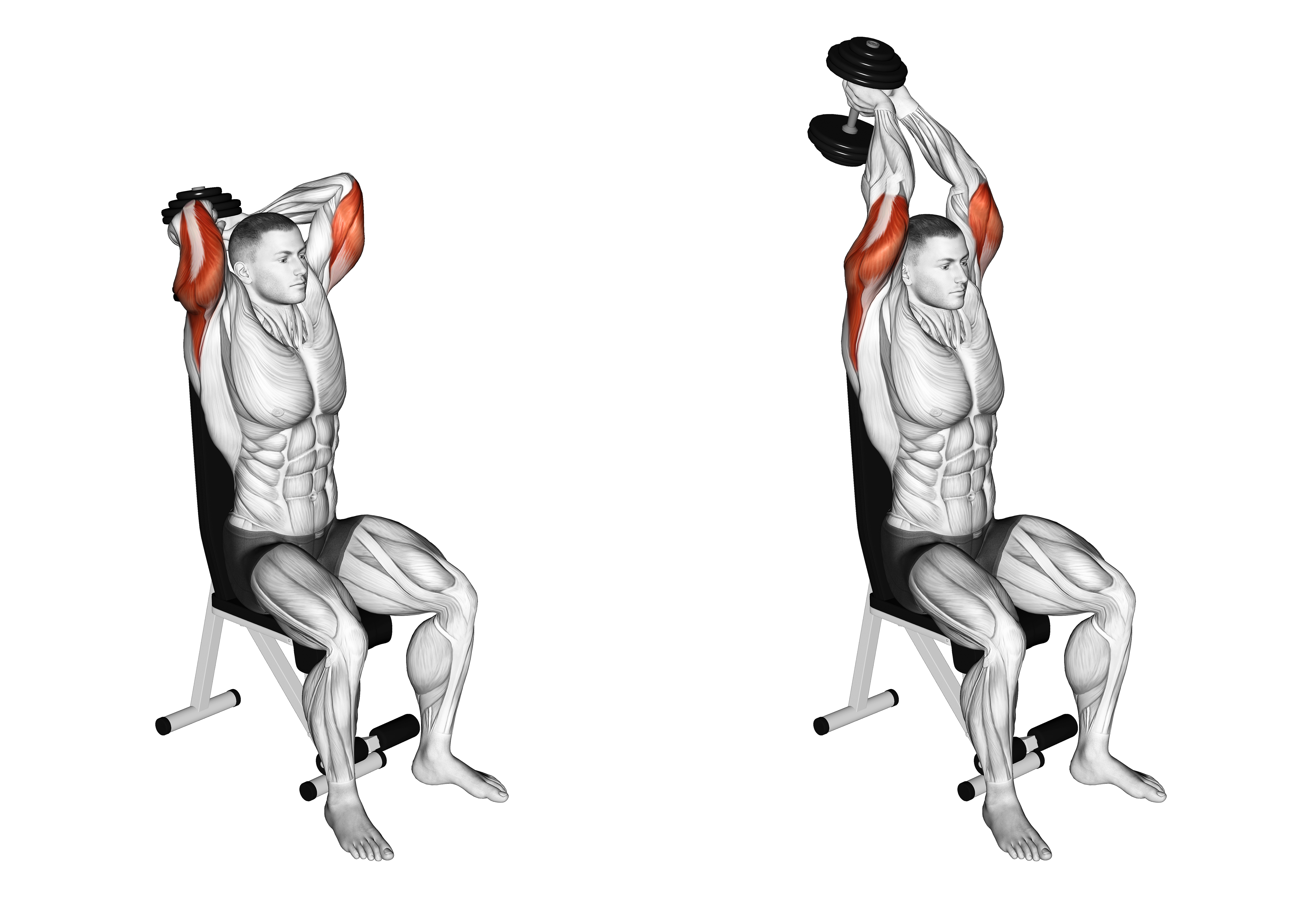 Dumbbell Seated Triceps Extension