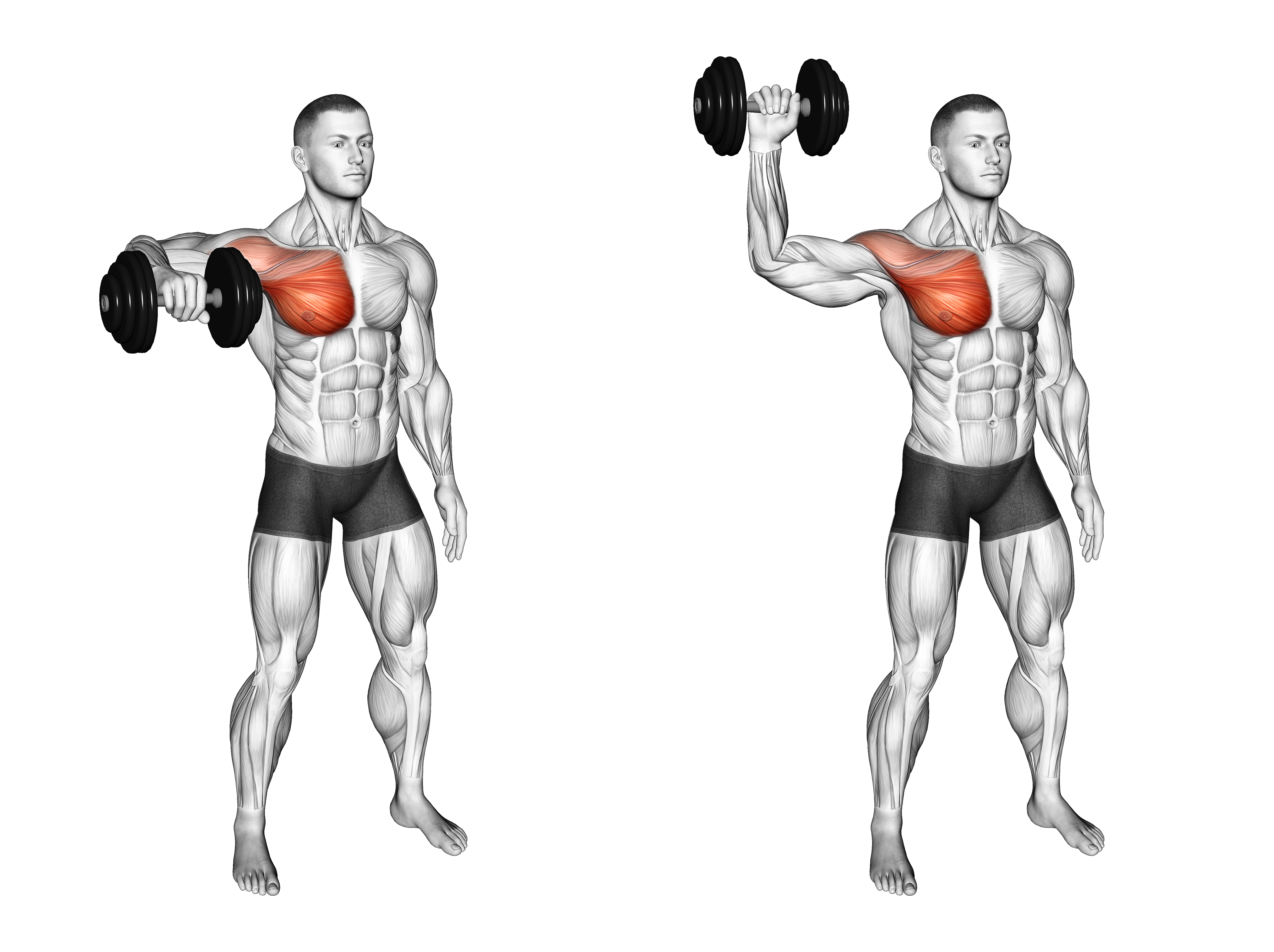 Dumbbell Shoulder Internal Rotation At 90 Abduction