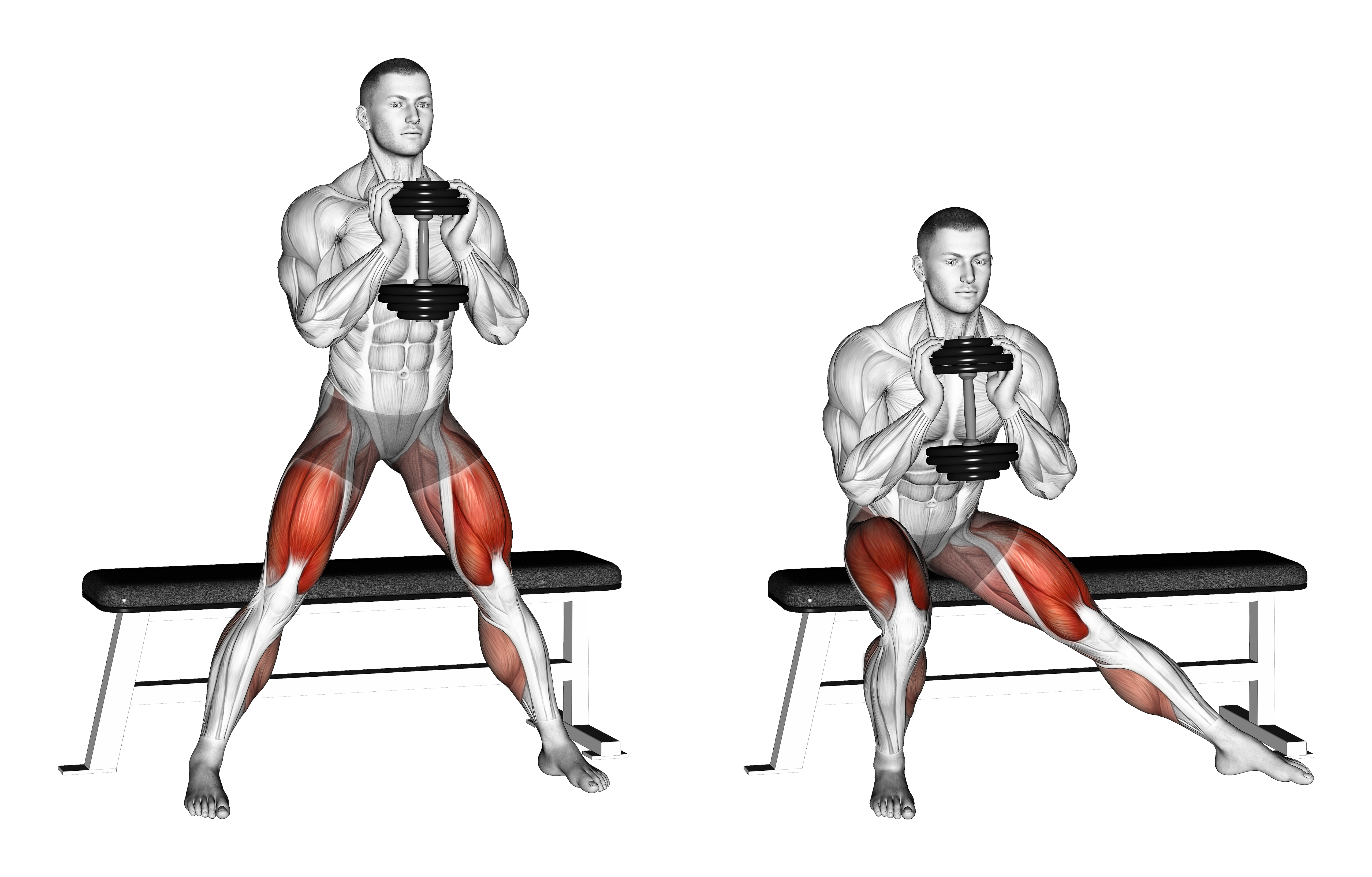 Dumbbell Side Bench Squat