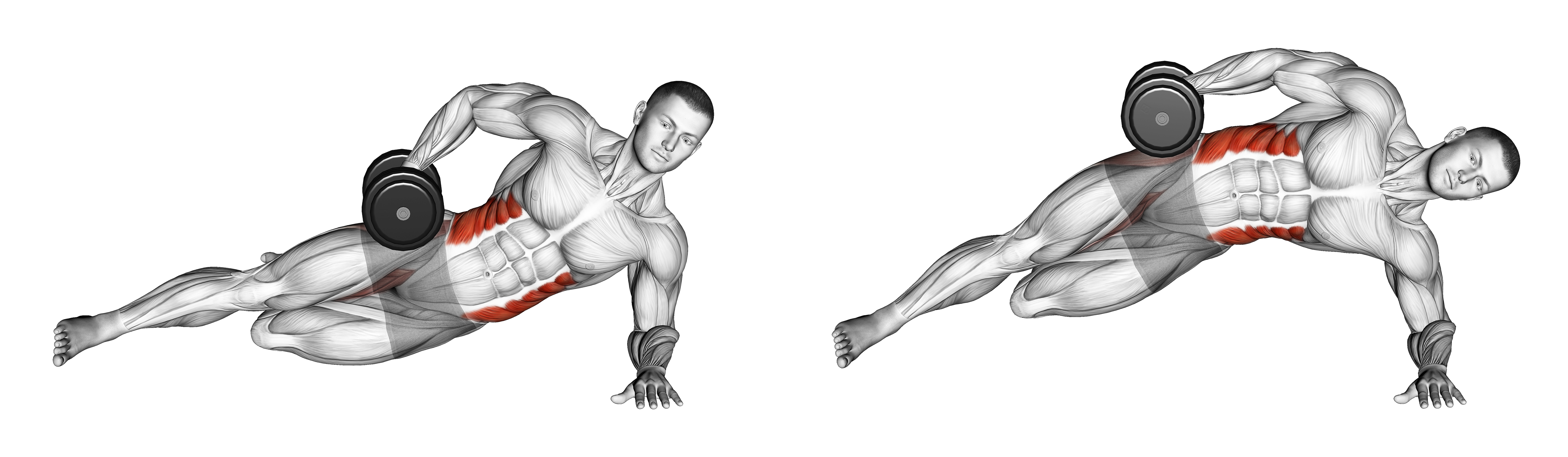 Dumbbell Side Bridge With Bent Leg