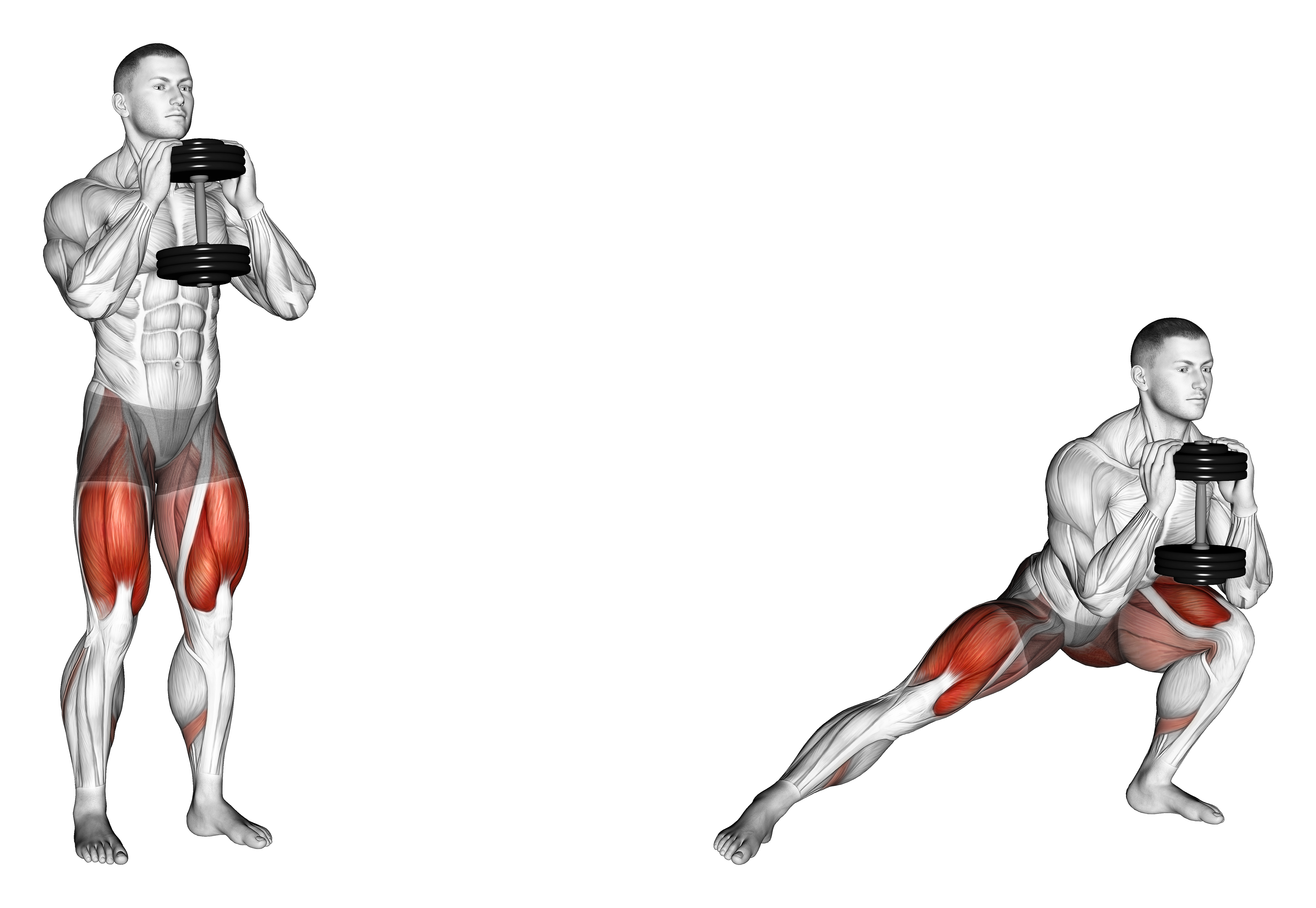 Dumbbell Side Lunge (version 3)
