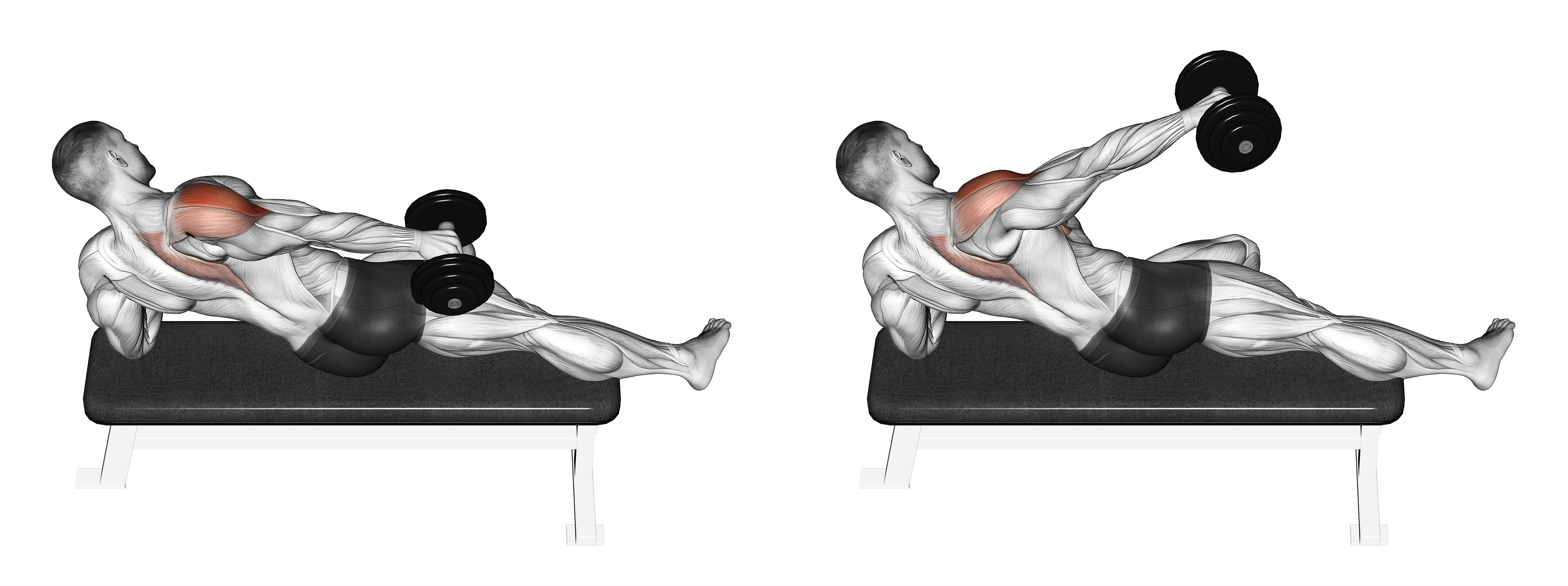Dumbbell Side Lying One Hand Raise