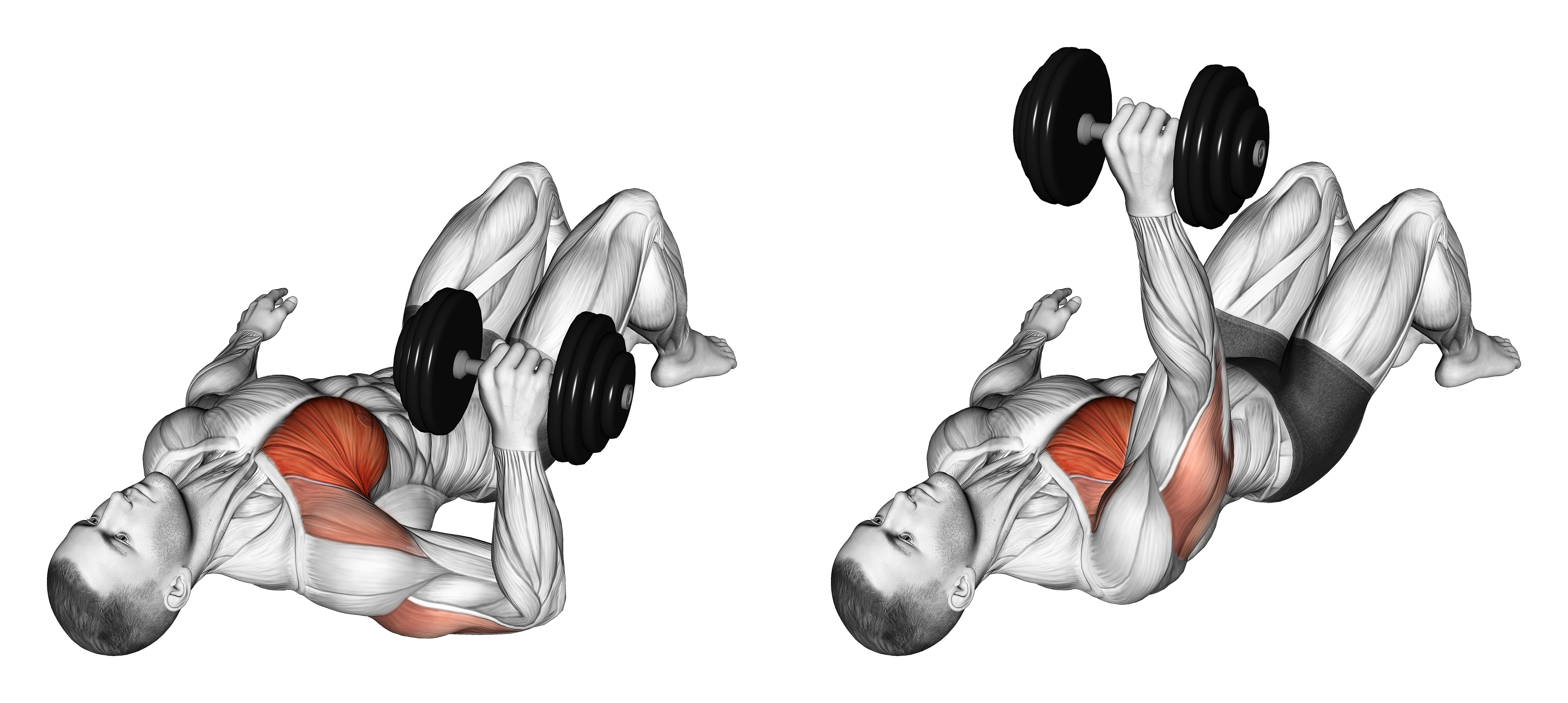 Dumbbell Single Arm Floor Press