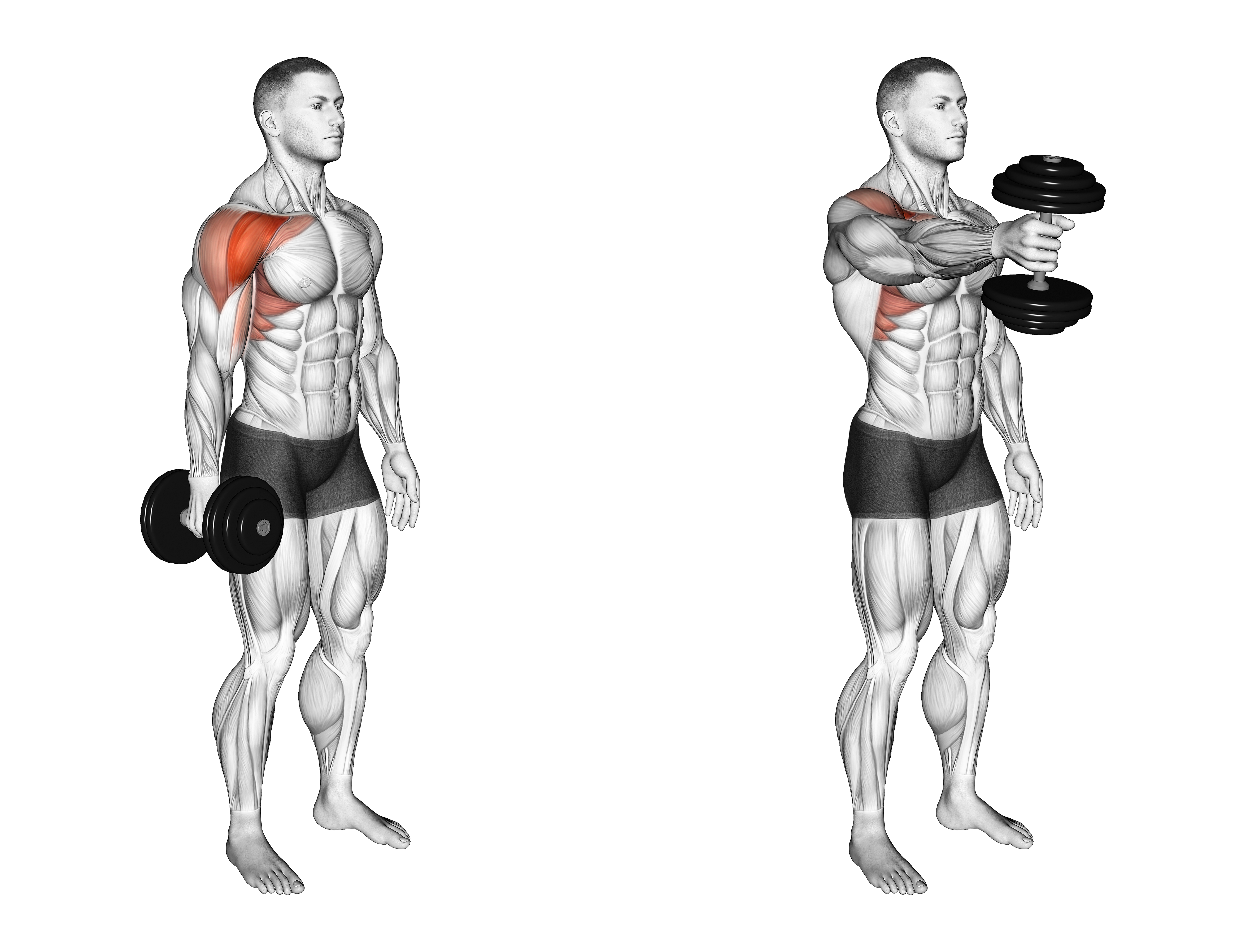 Dumbbell Single Arm Neutral Grip Front Raise