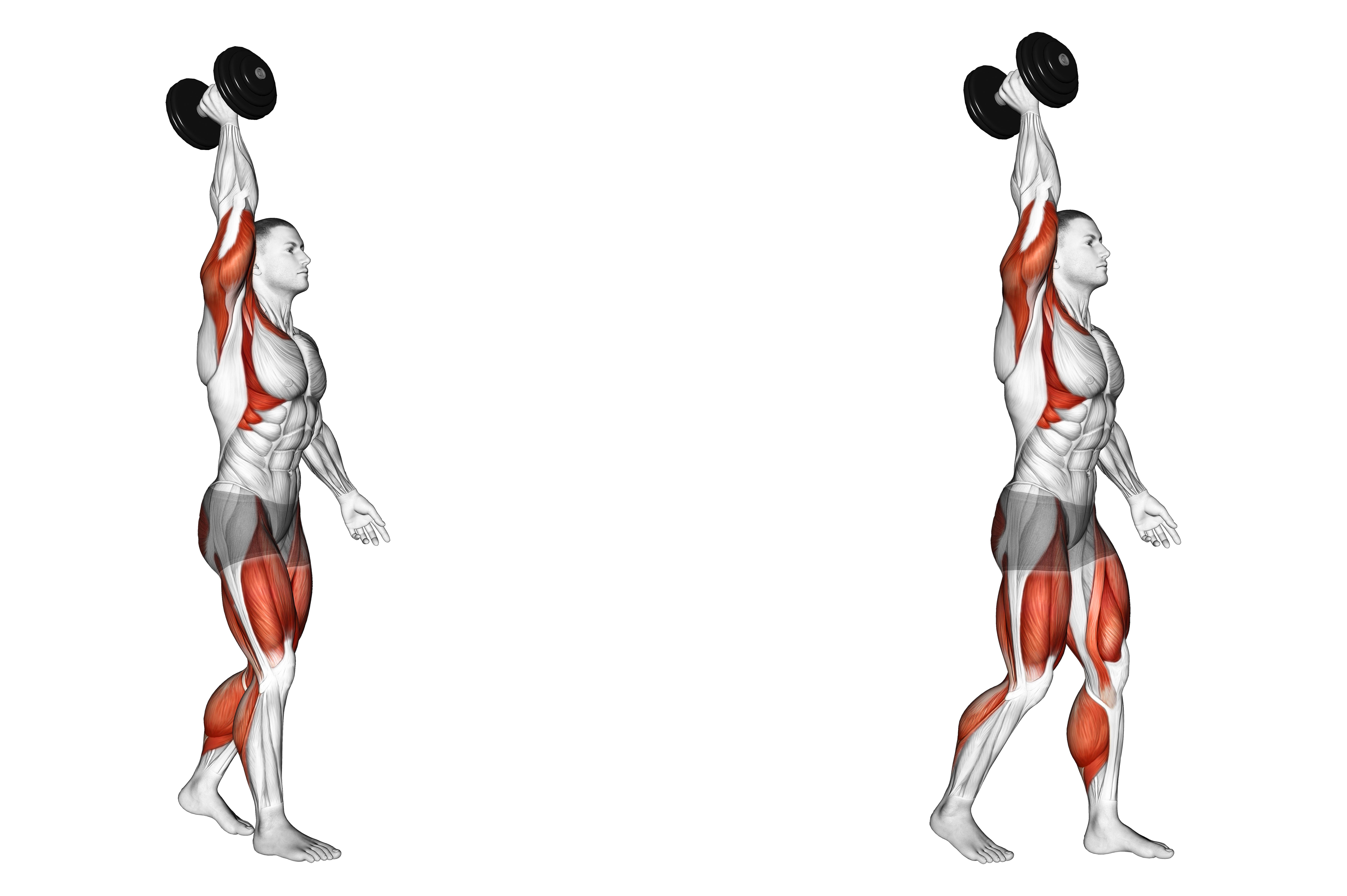 Dumbbell Single Arm Overhead Carry