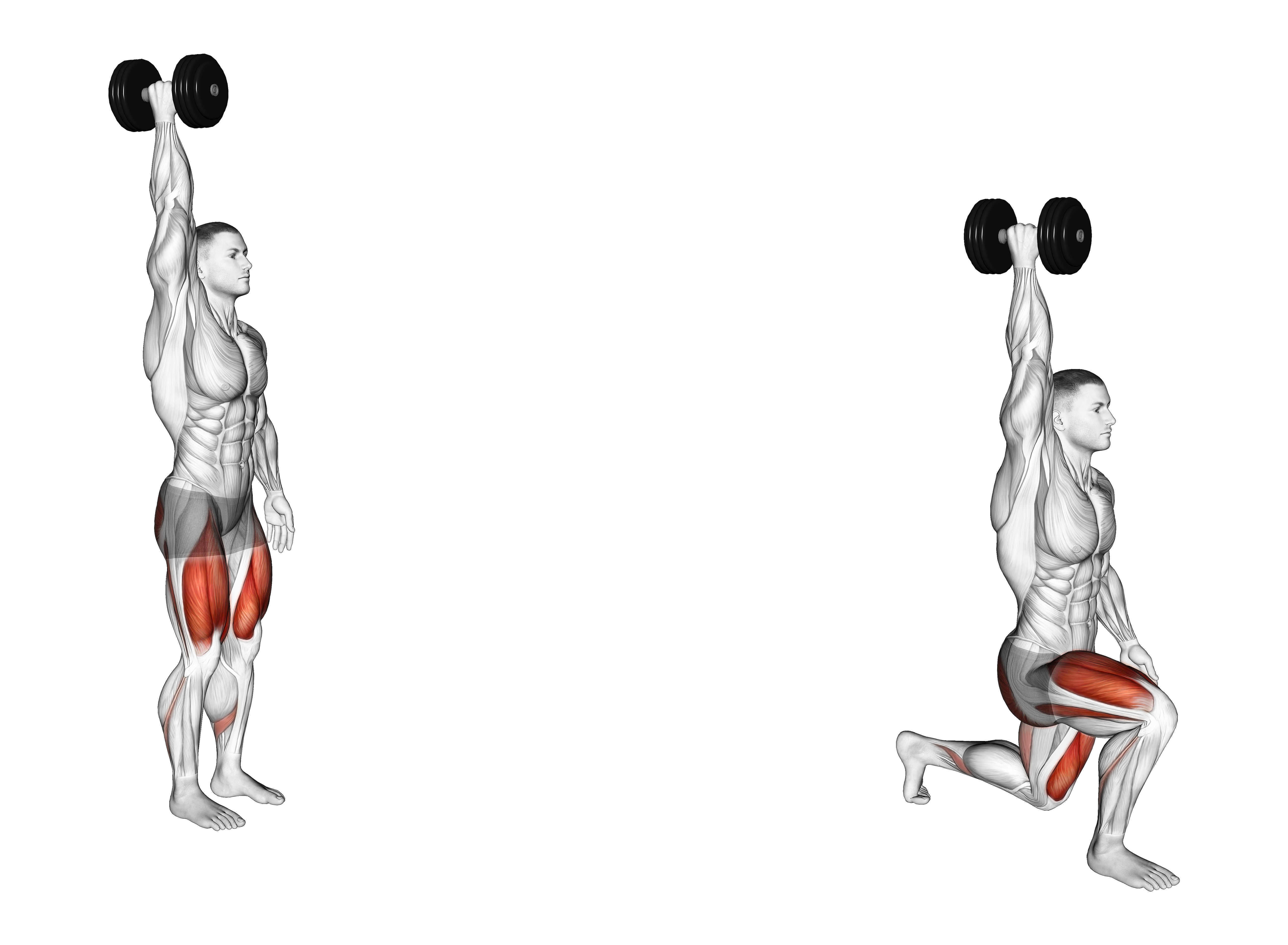 Dumbbell Single Arm Overhead Lunge
