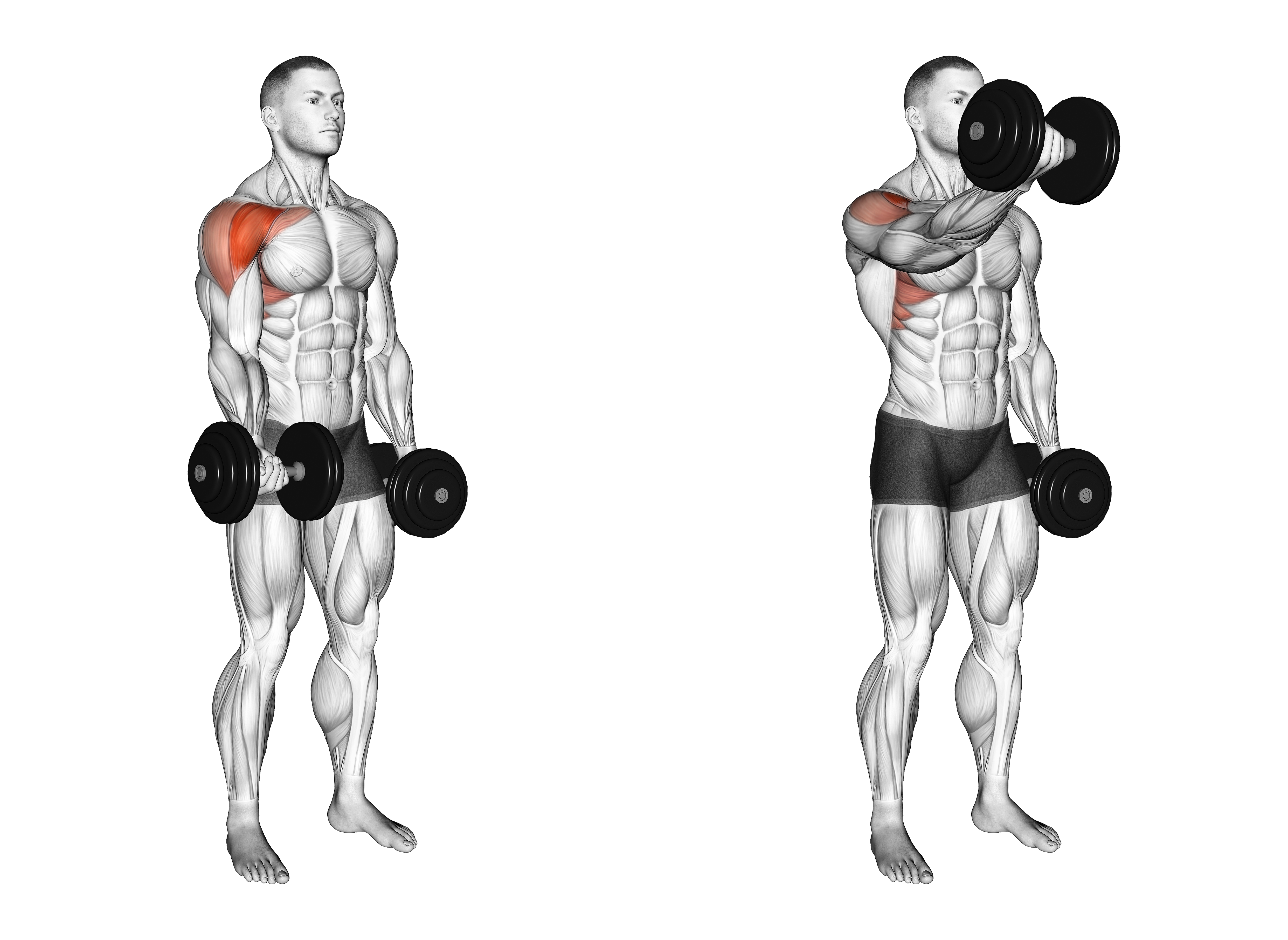 Dumbbell Single Arm Underhand Front Raise