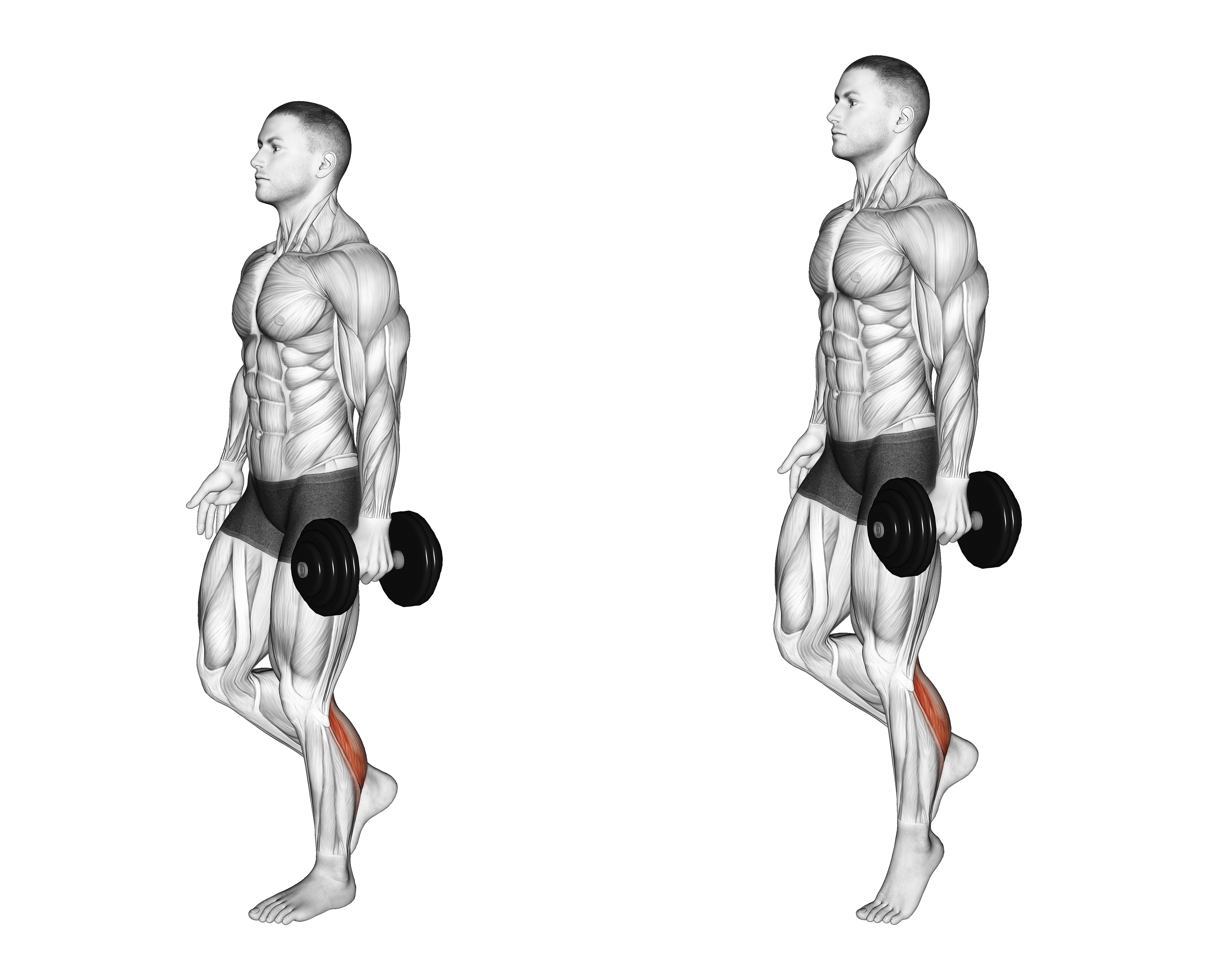 Dumbbell Single Leg Calf Raise