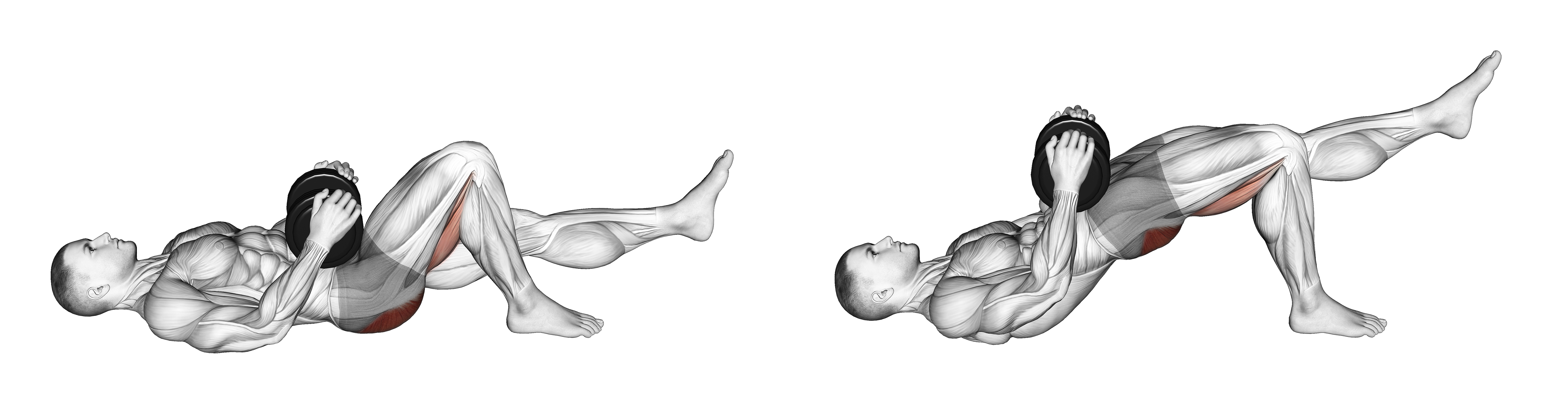Dumbbell Single Leg Glute Bridge