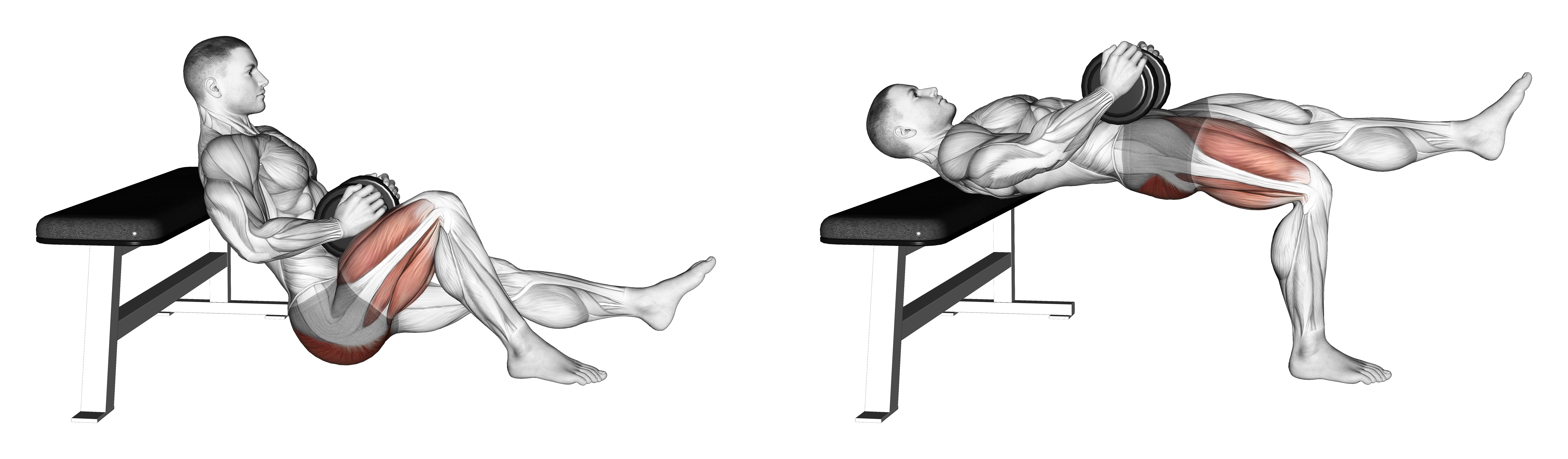 Dumbbell Single Leg Hip Thrust