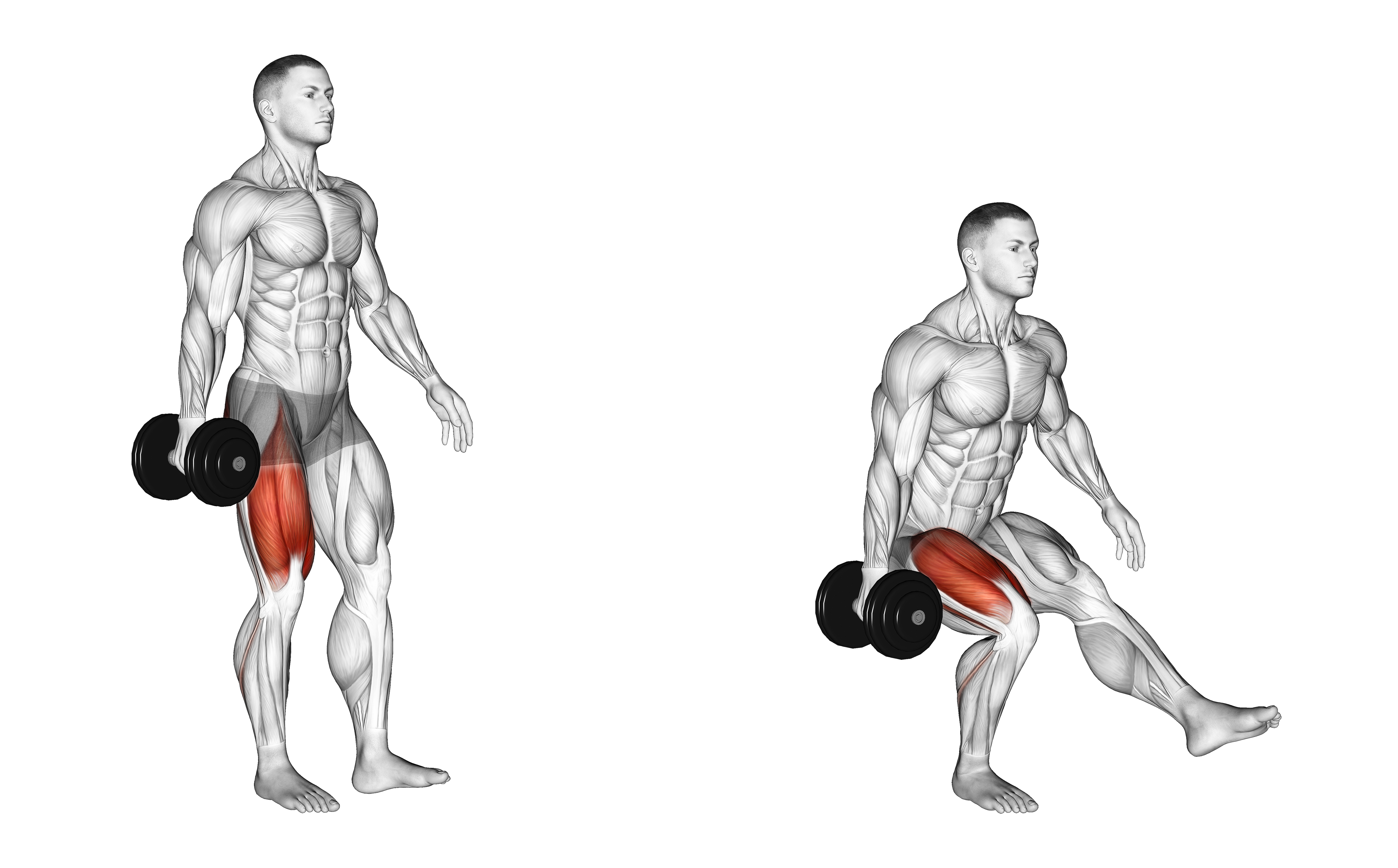 Dumbbell Single Leg Squat (version 2)