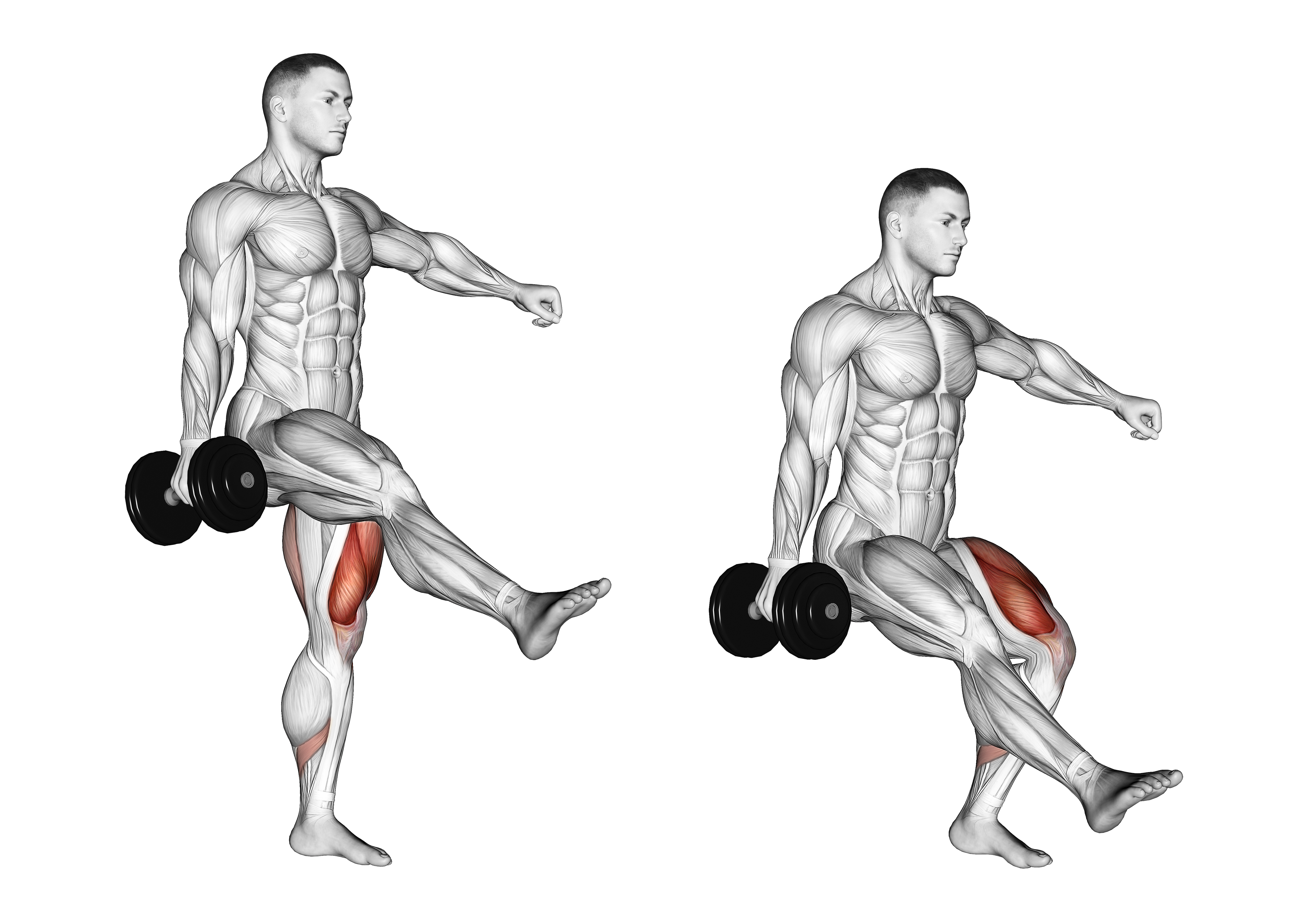 Dumbbell Single Leg Squat